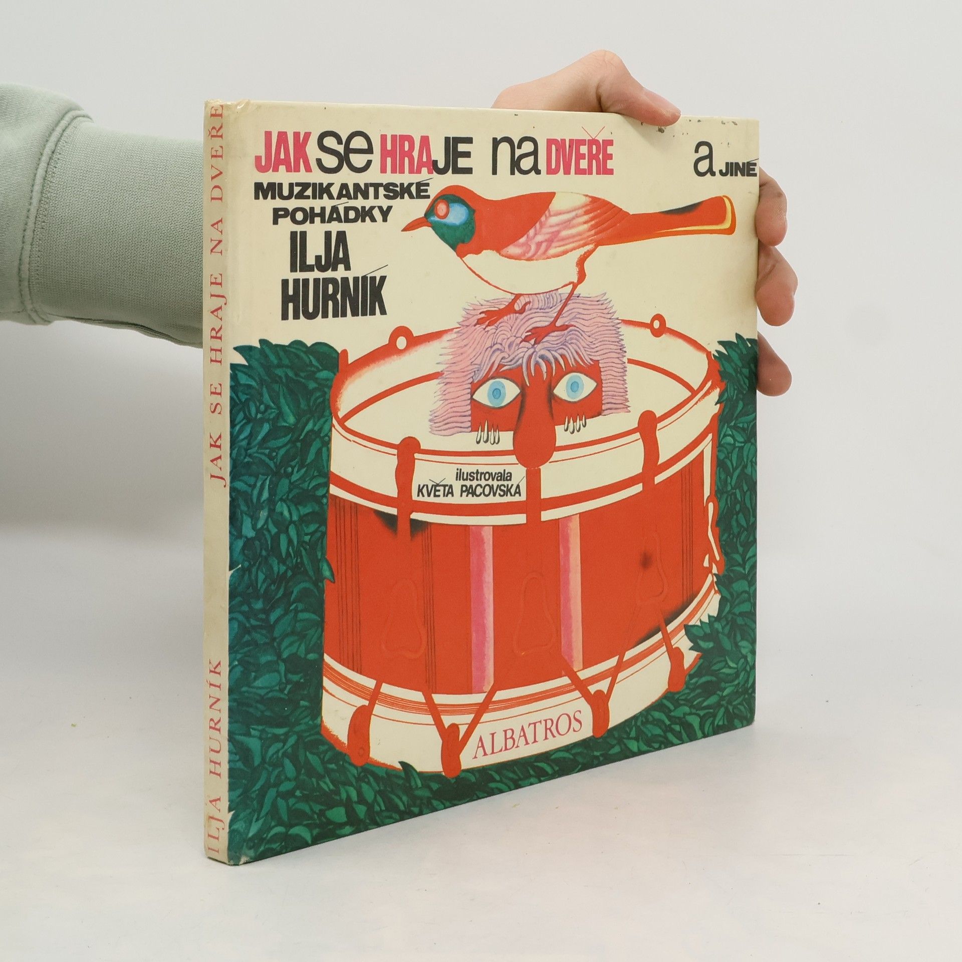 Jak se hraje na dveře a jiné muzikantské pohádky