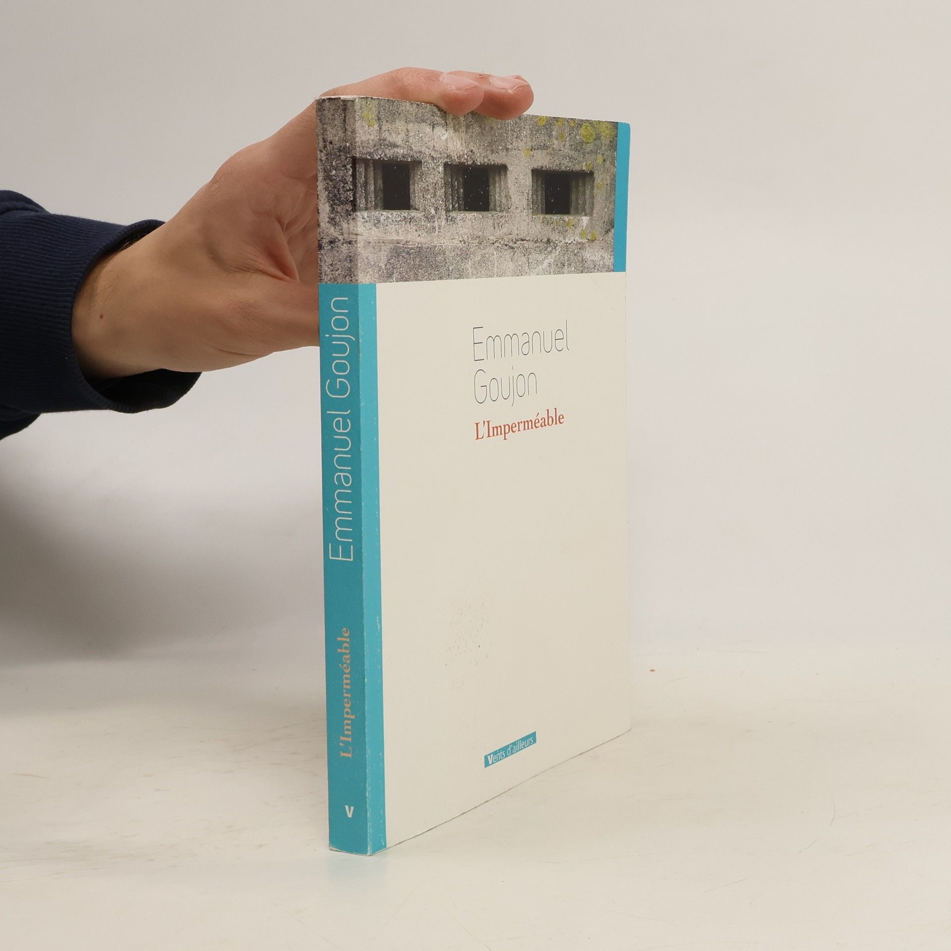 Emmanuel Goujon L'imperméable