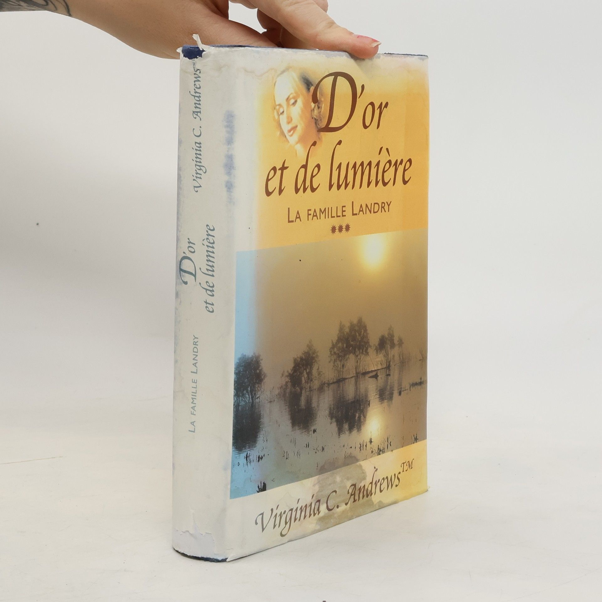 Virginia Cleo Andrews La famille Landry: D'or et de lumière