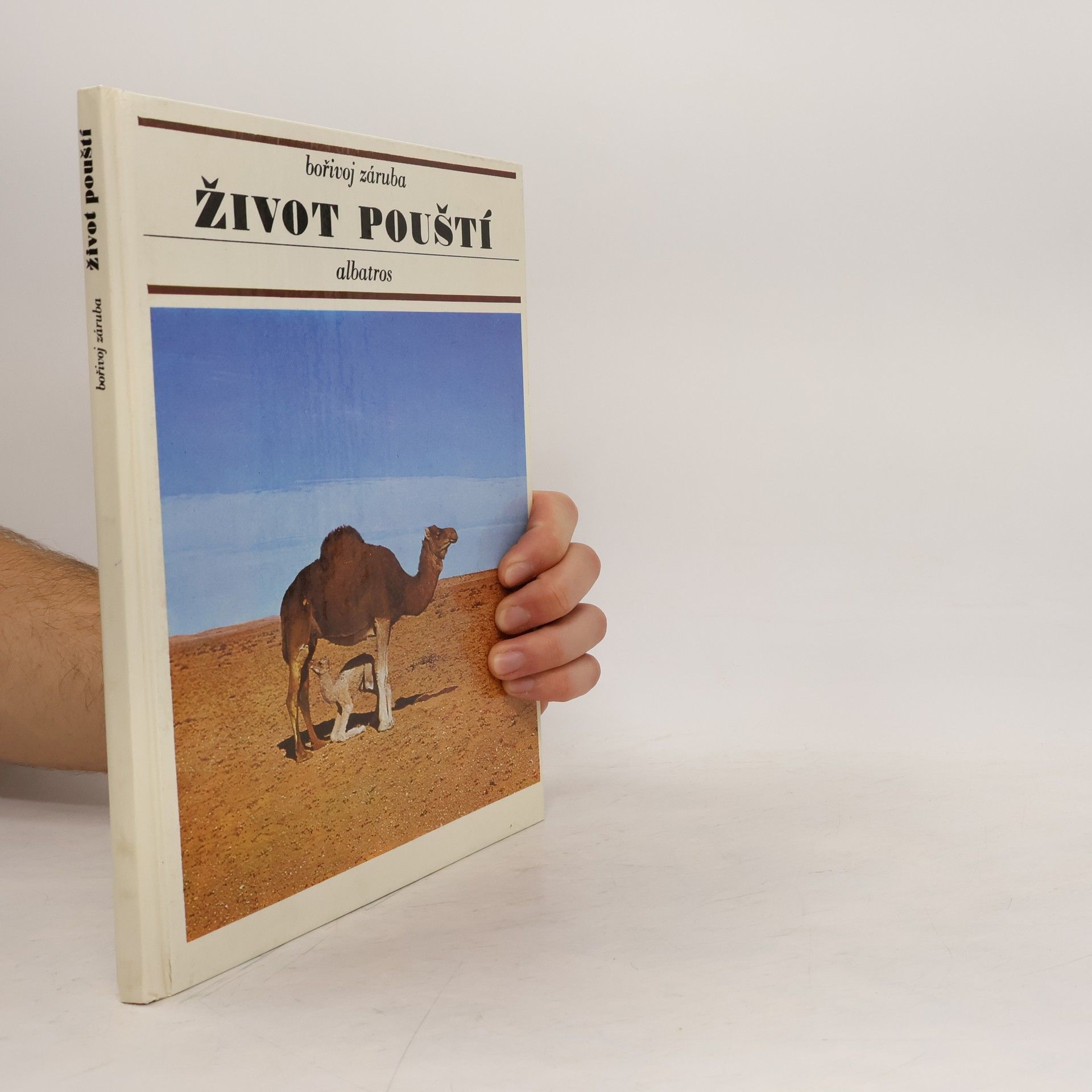 Bořivoj Záruba Život pouští