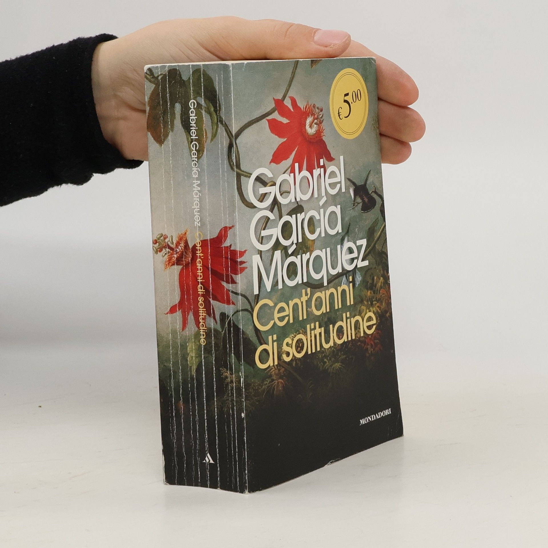 Gabriel García Márquez Cent'anni di solitudine