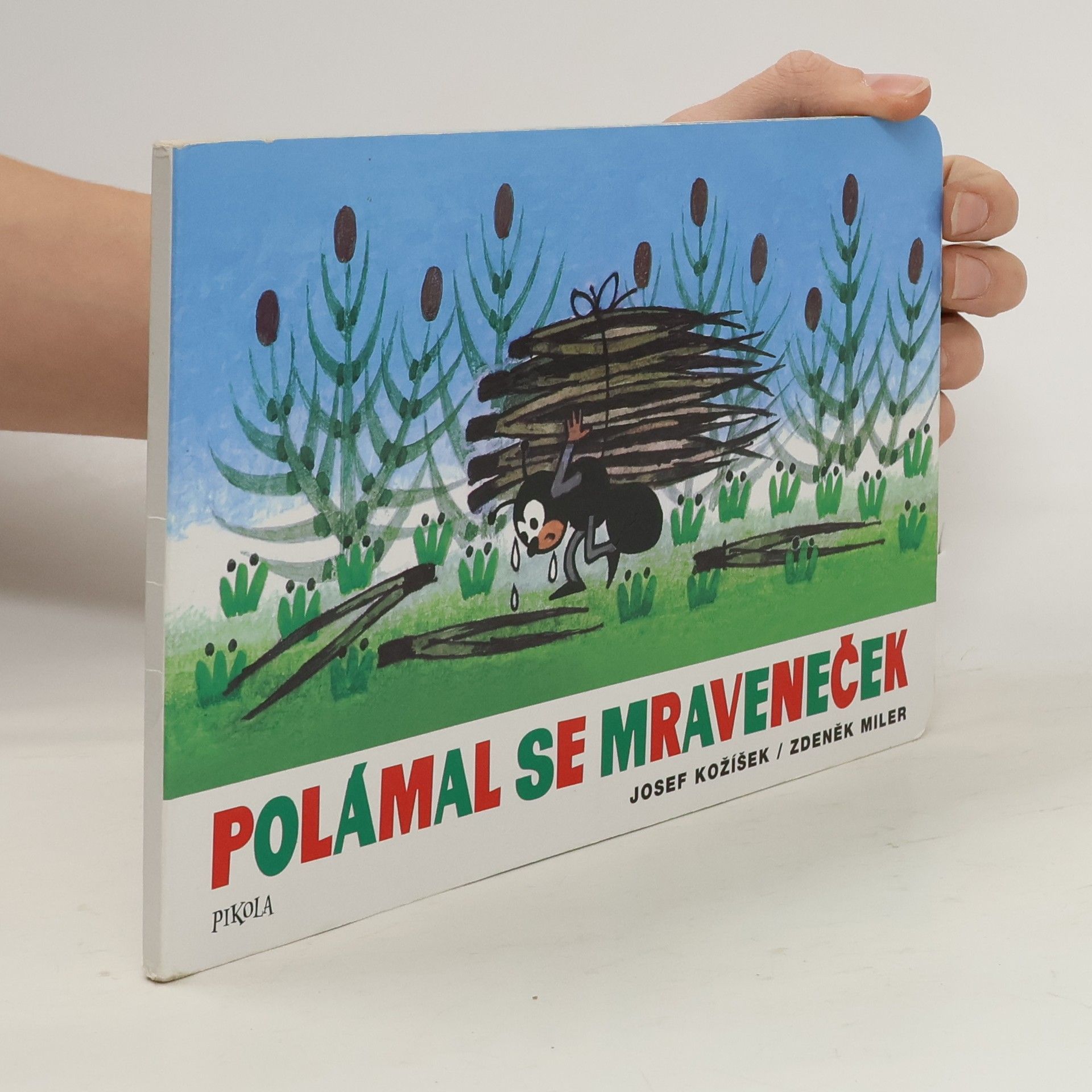 Polámal se mraveneček