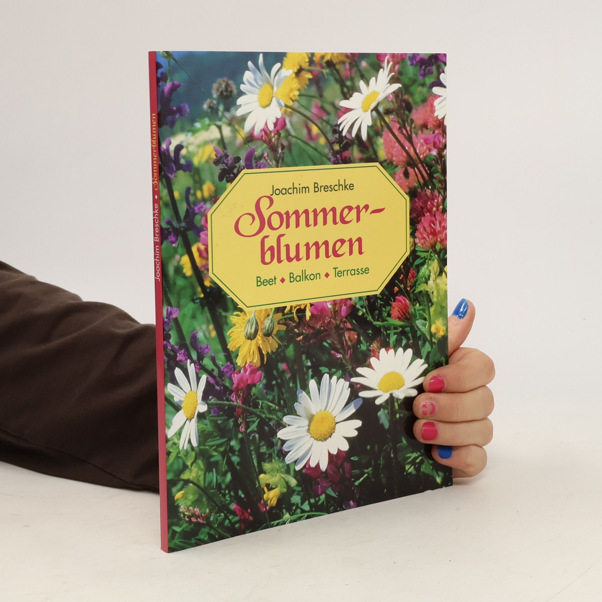 Joachim Breschke Sommerblumen