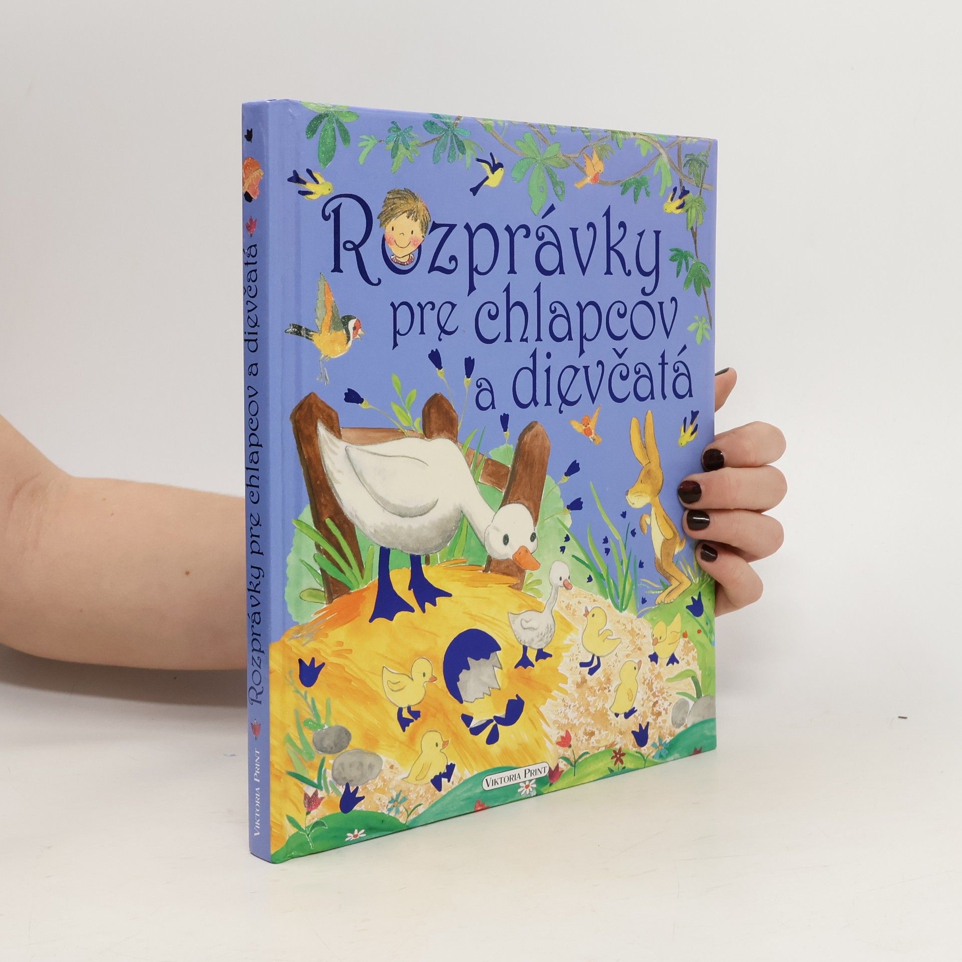 Kolektiv autorů Rozprávky pre chlapcov a dievčatá