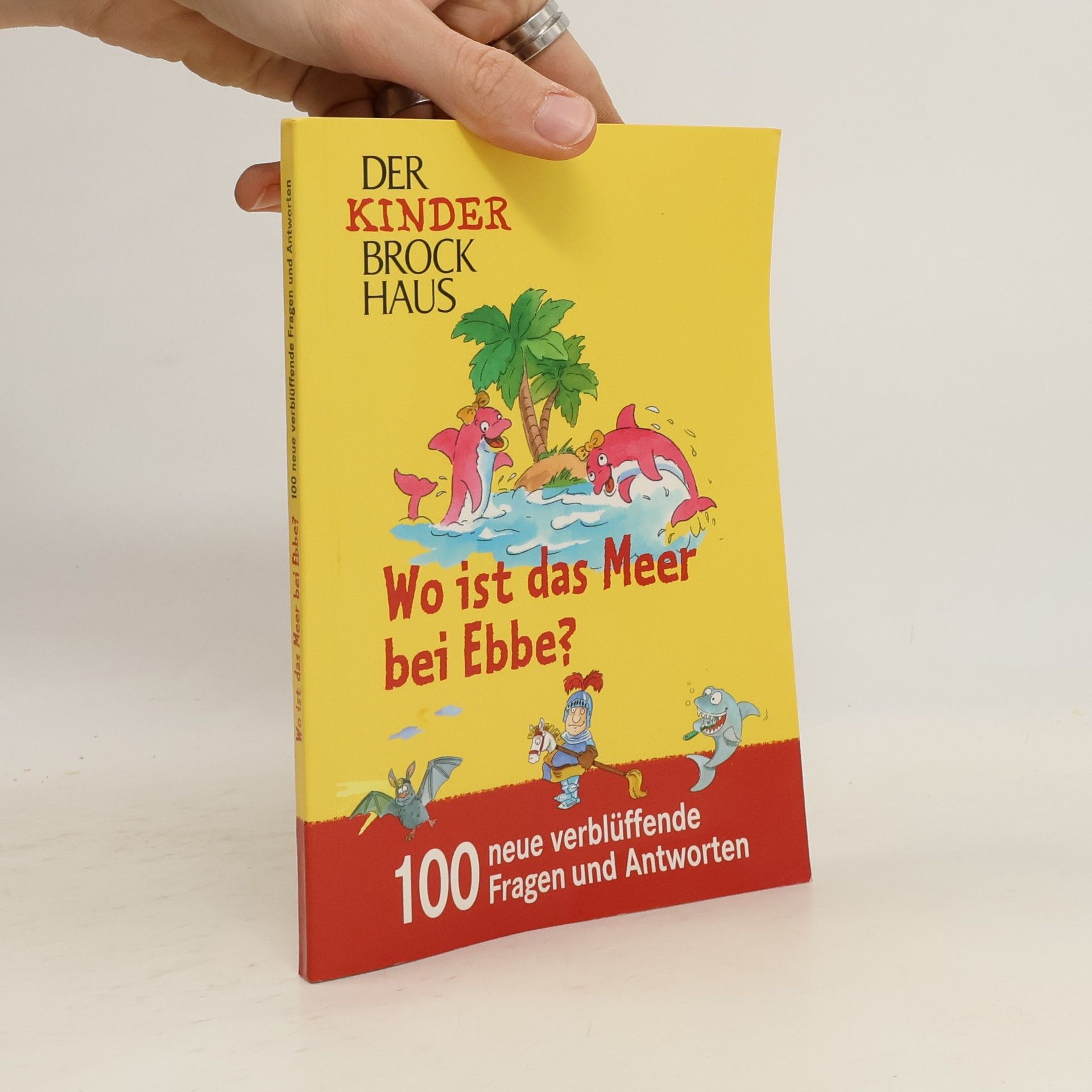 AA.VV. Wo ist das Meer bei Ebbe?