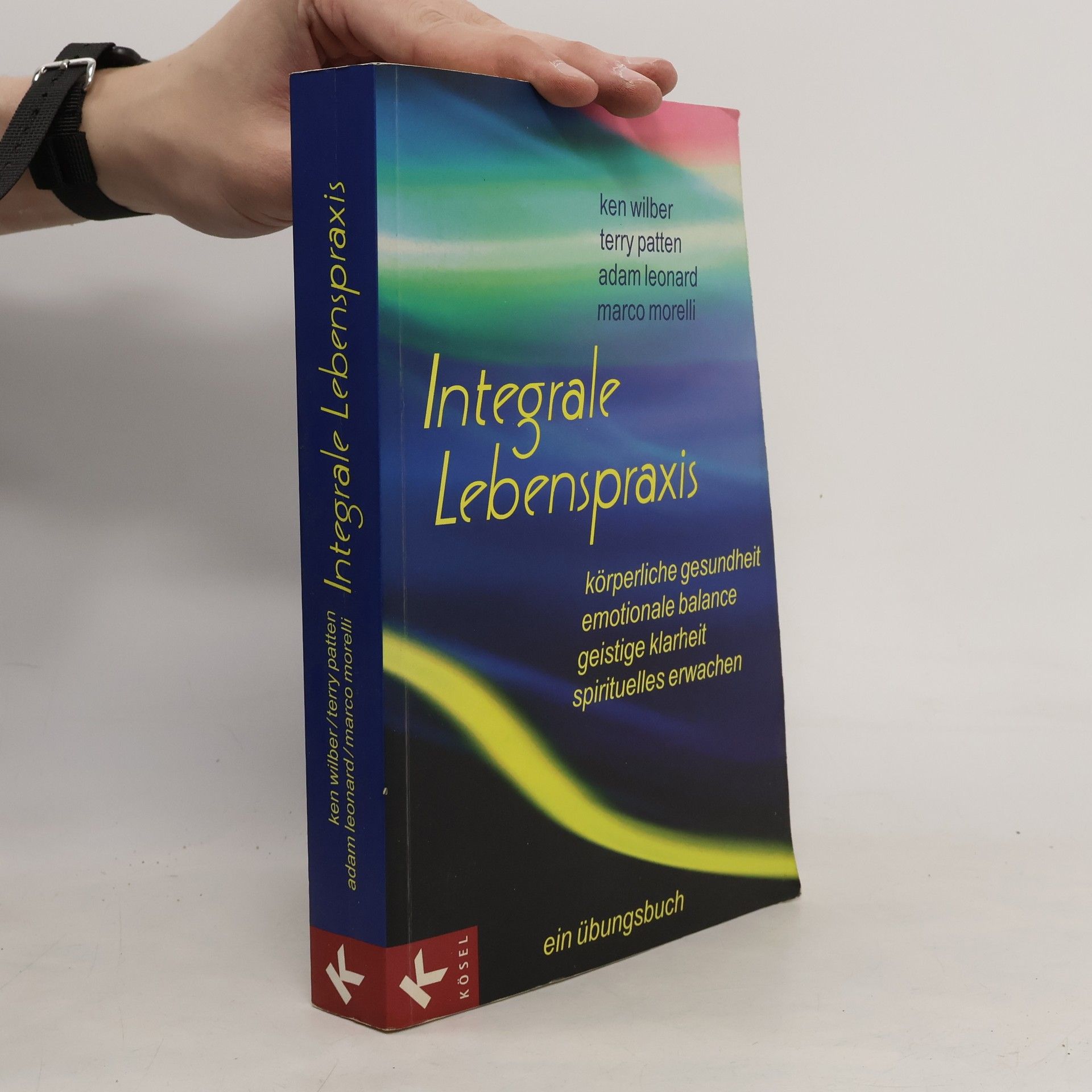 Ken Wilber Integrale Lebenspraxis