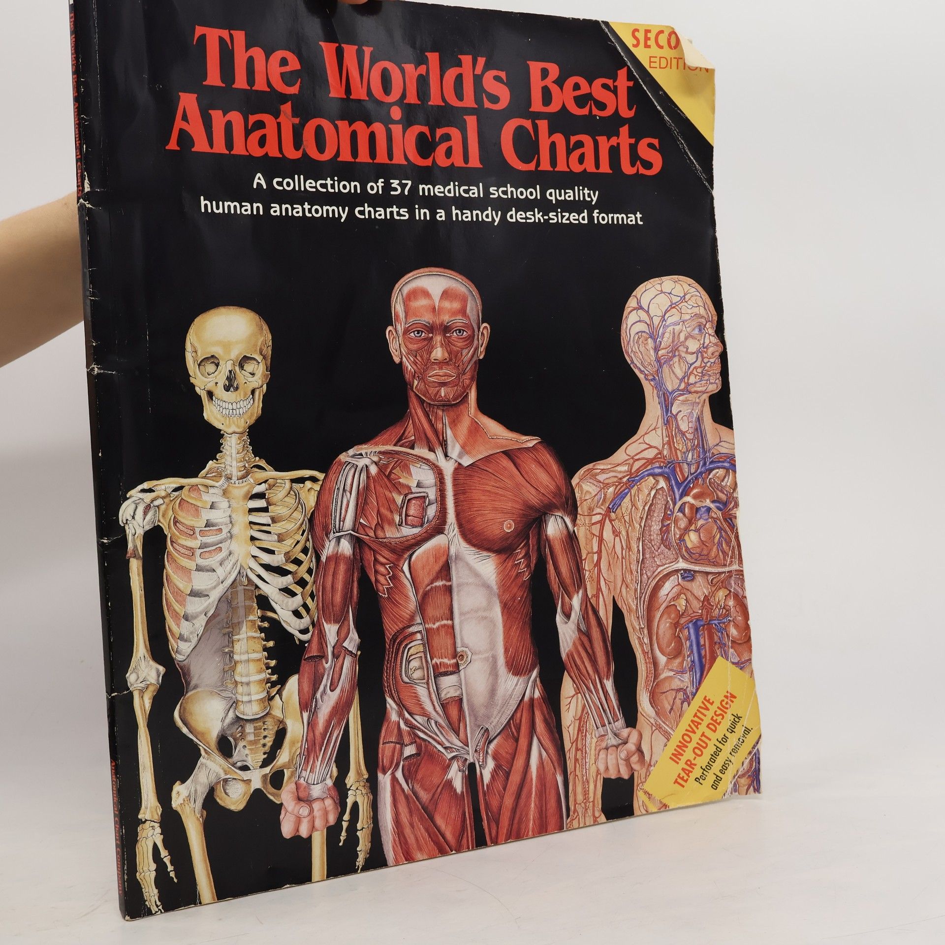 Collectif d'auteurs The World's Best Anatomical Charts