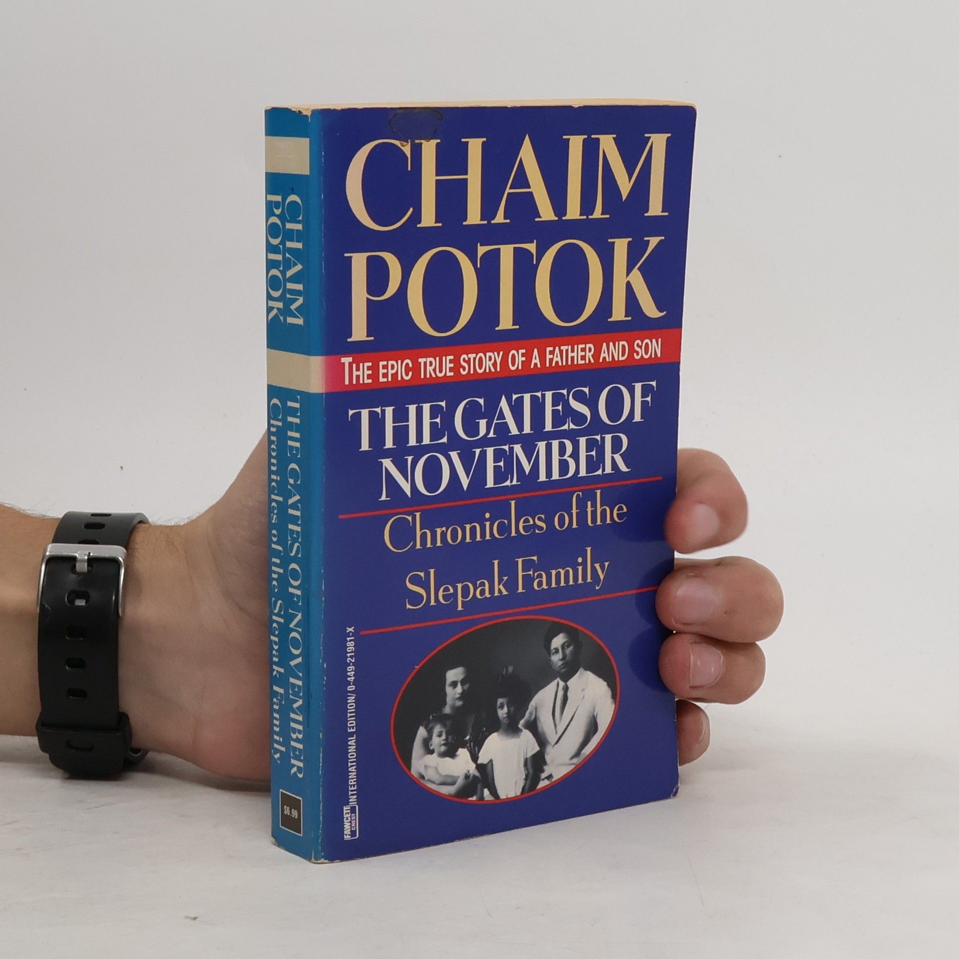 Chaim Potok The Gates of November