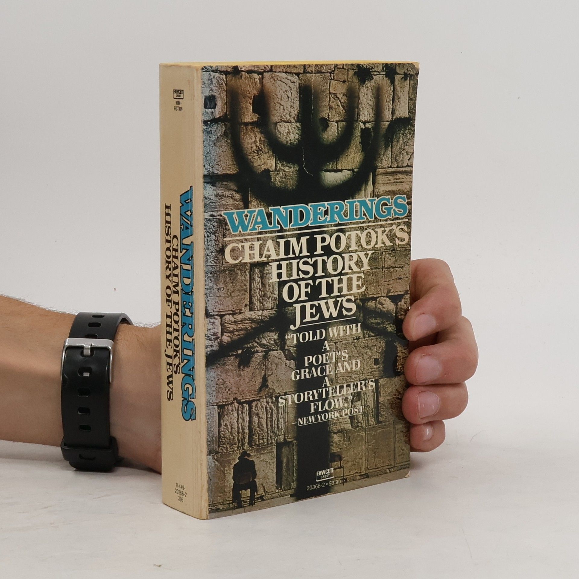 Chaim Potok Wanderings