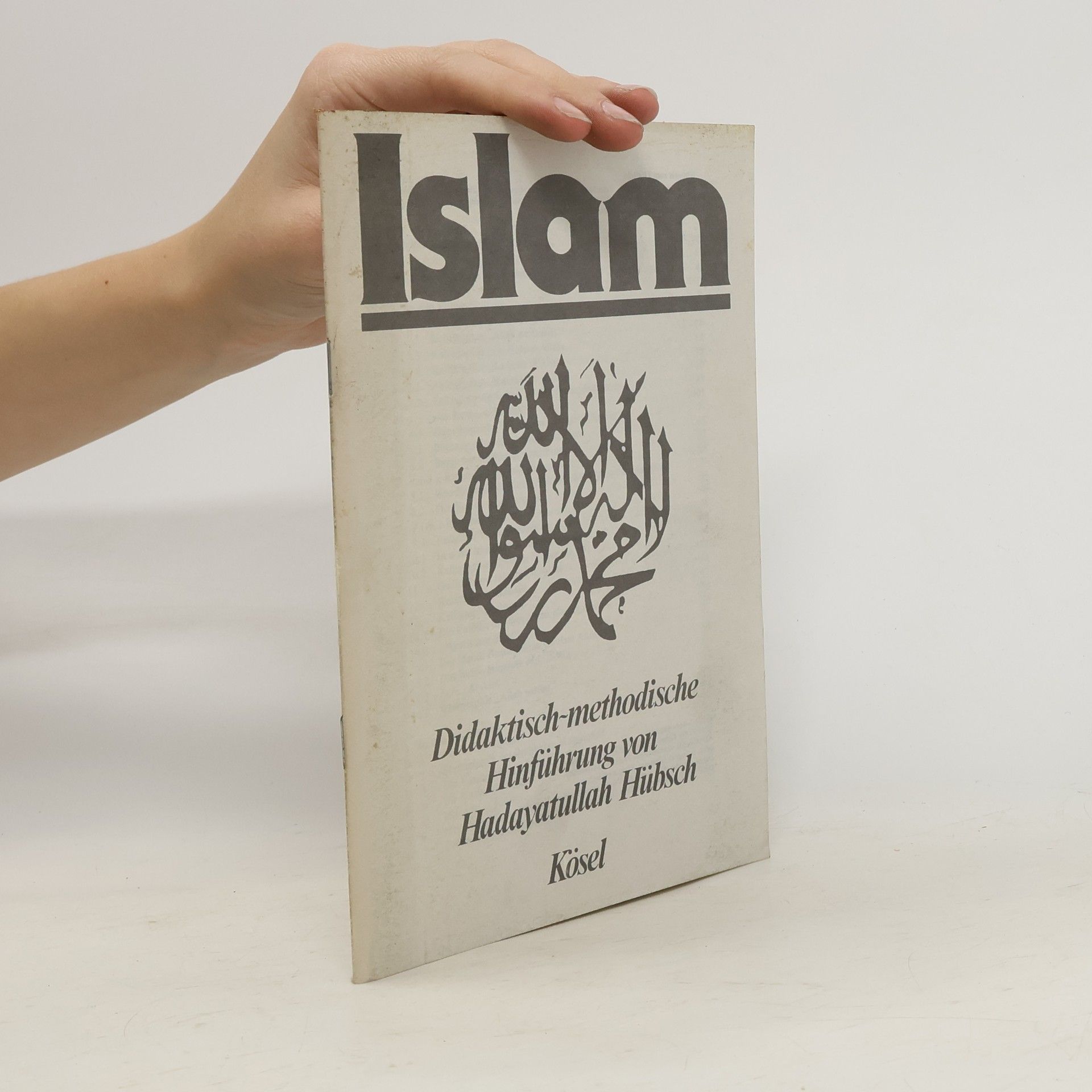 Paul-Gerhard Hübsch Islam