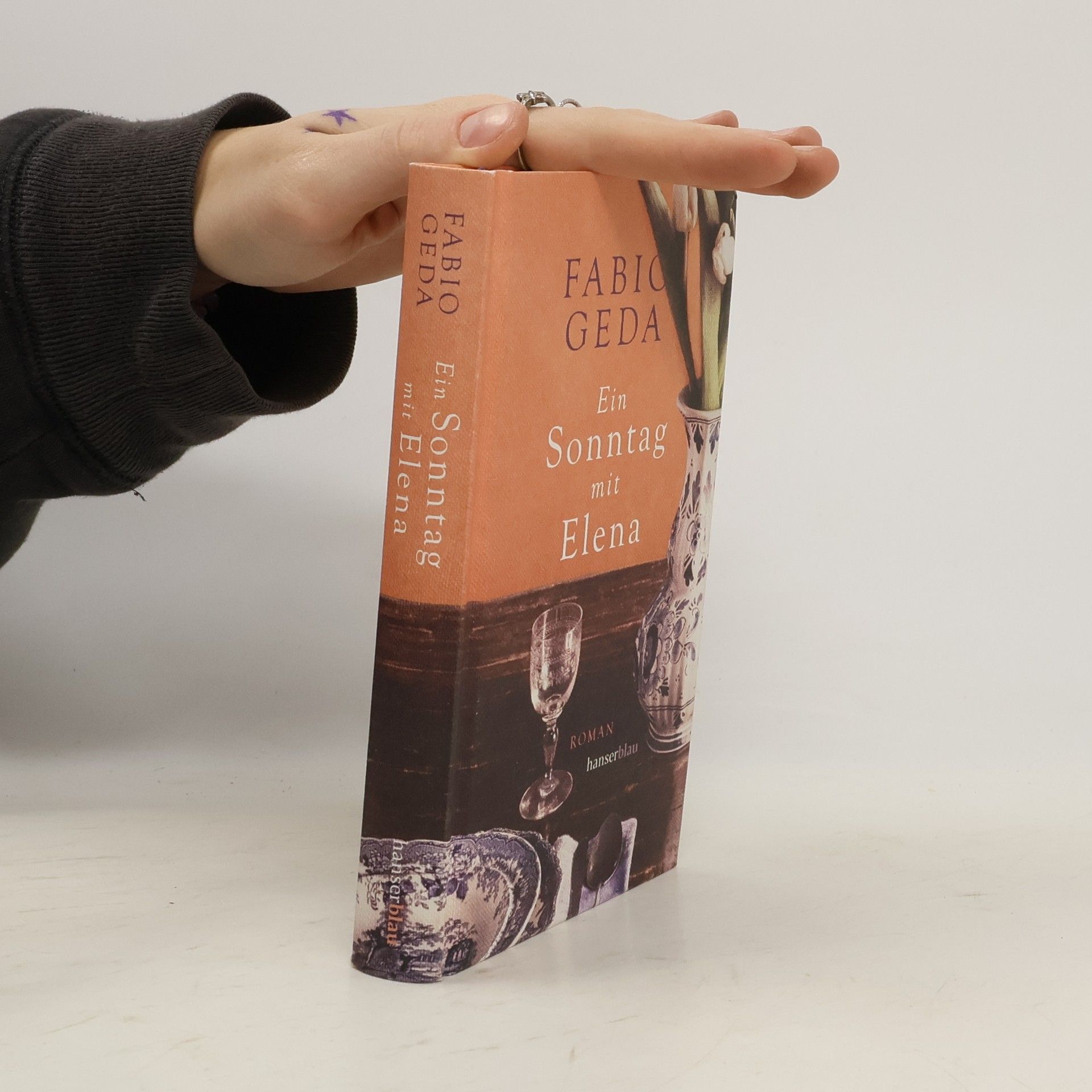 Fabio Geda Ein Sonntag mit Elena