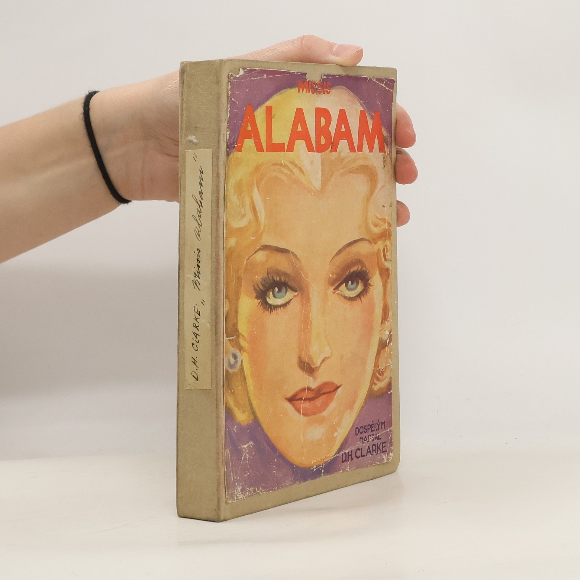 Missis Alabam. Román ženy