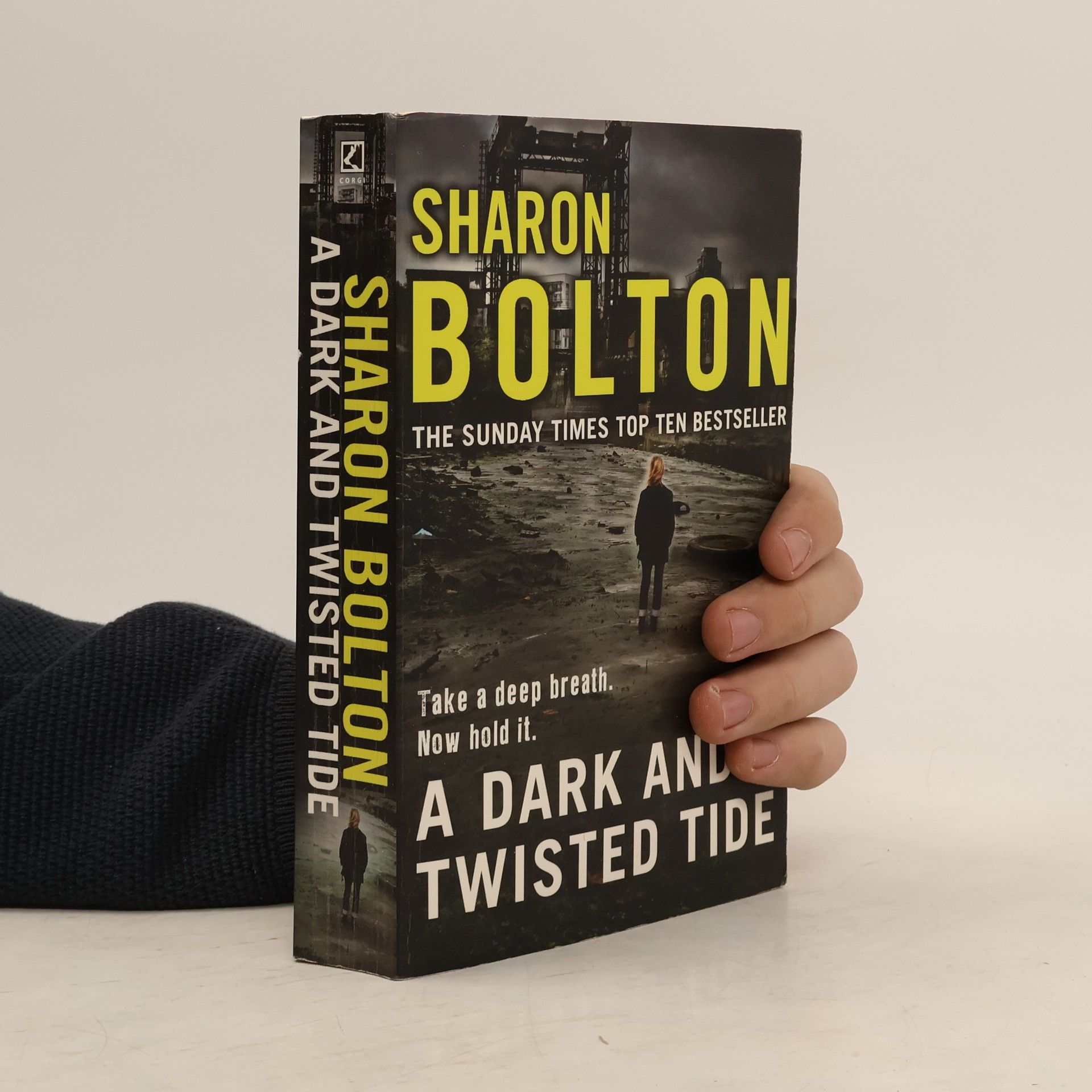 Sharon J. Bolton A Dark and Twisted Tide