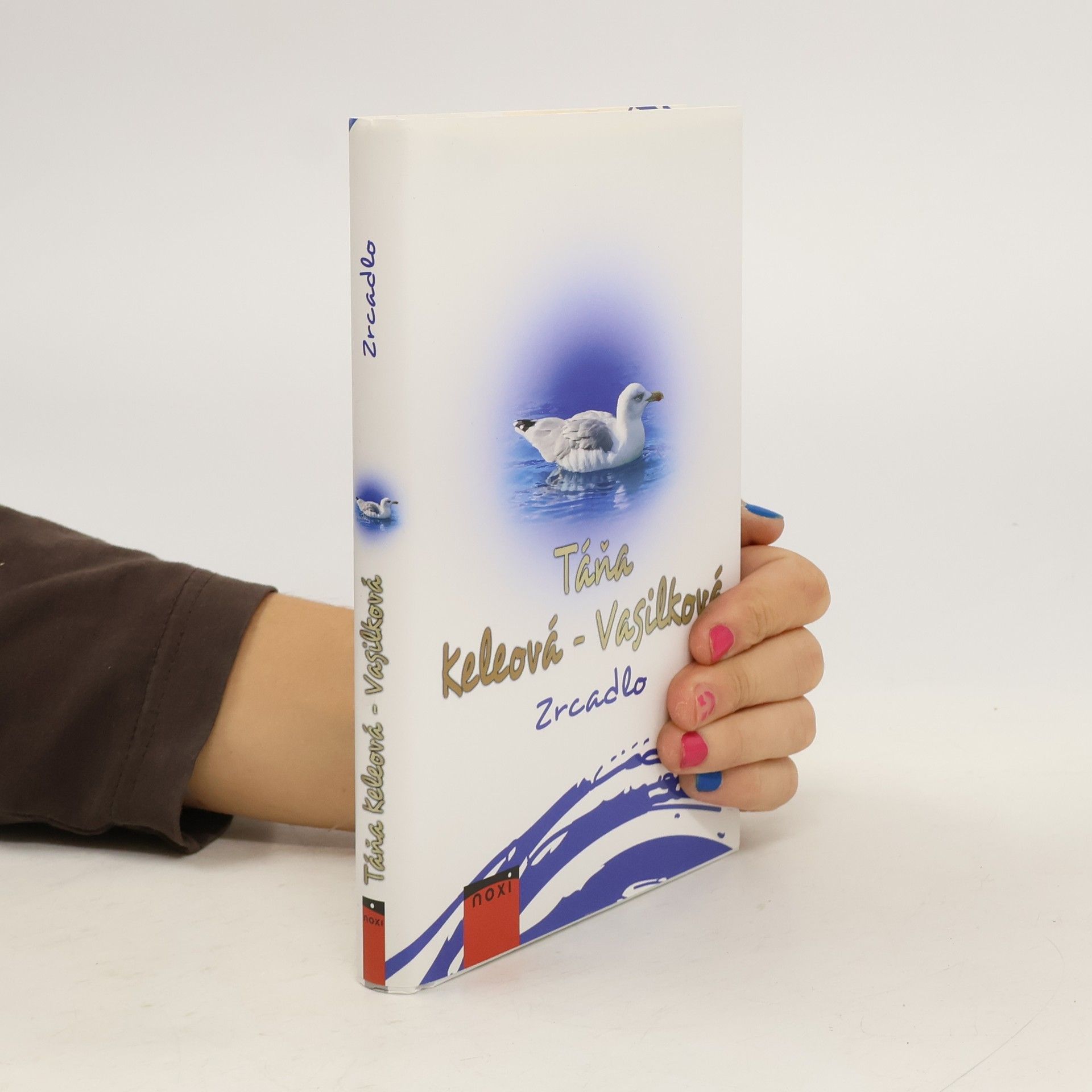 Táňa Keleová-Vasilková Zrcadlo