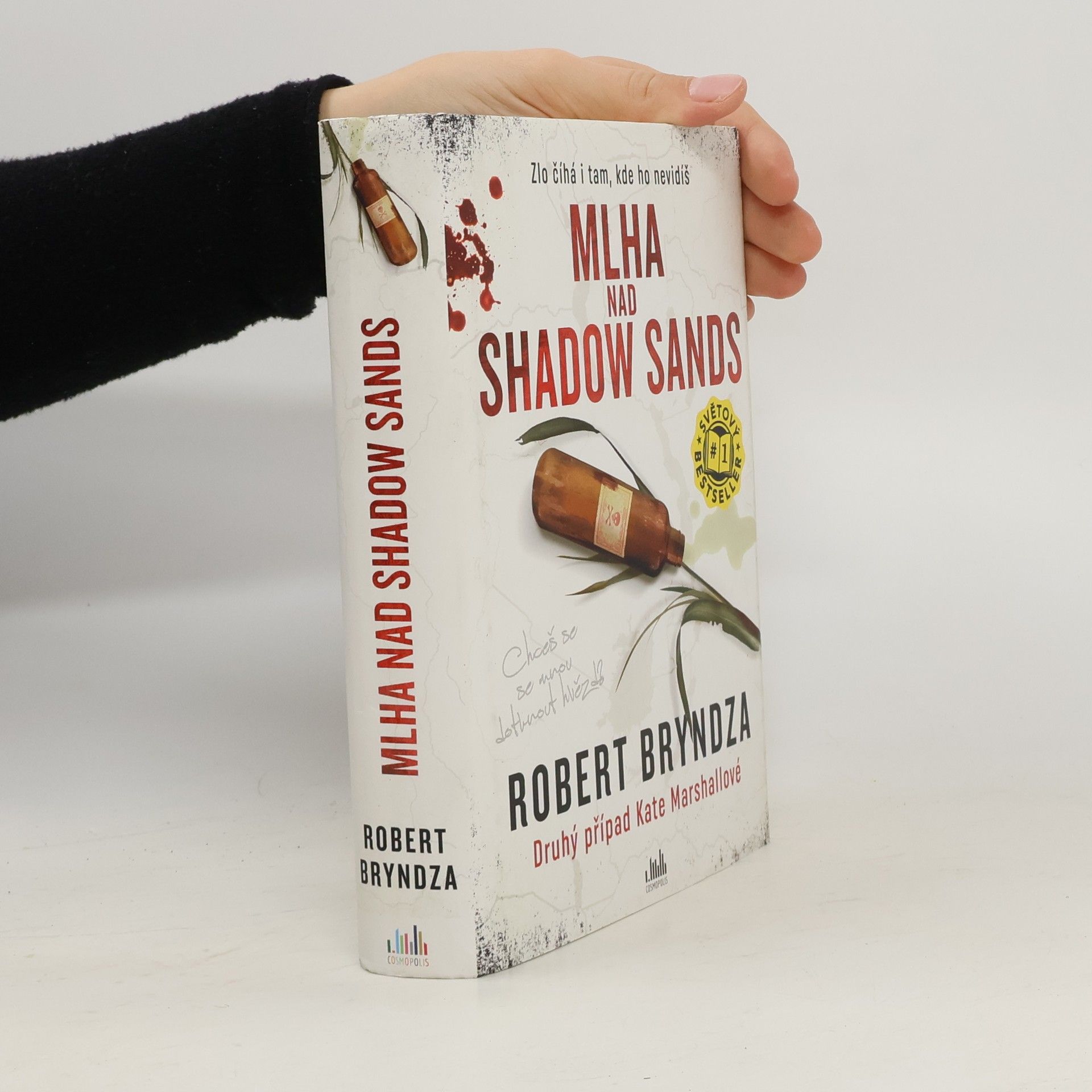 Robert Bryndza Mlha nad Shadow Sands