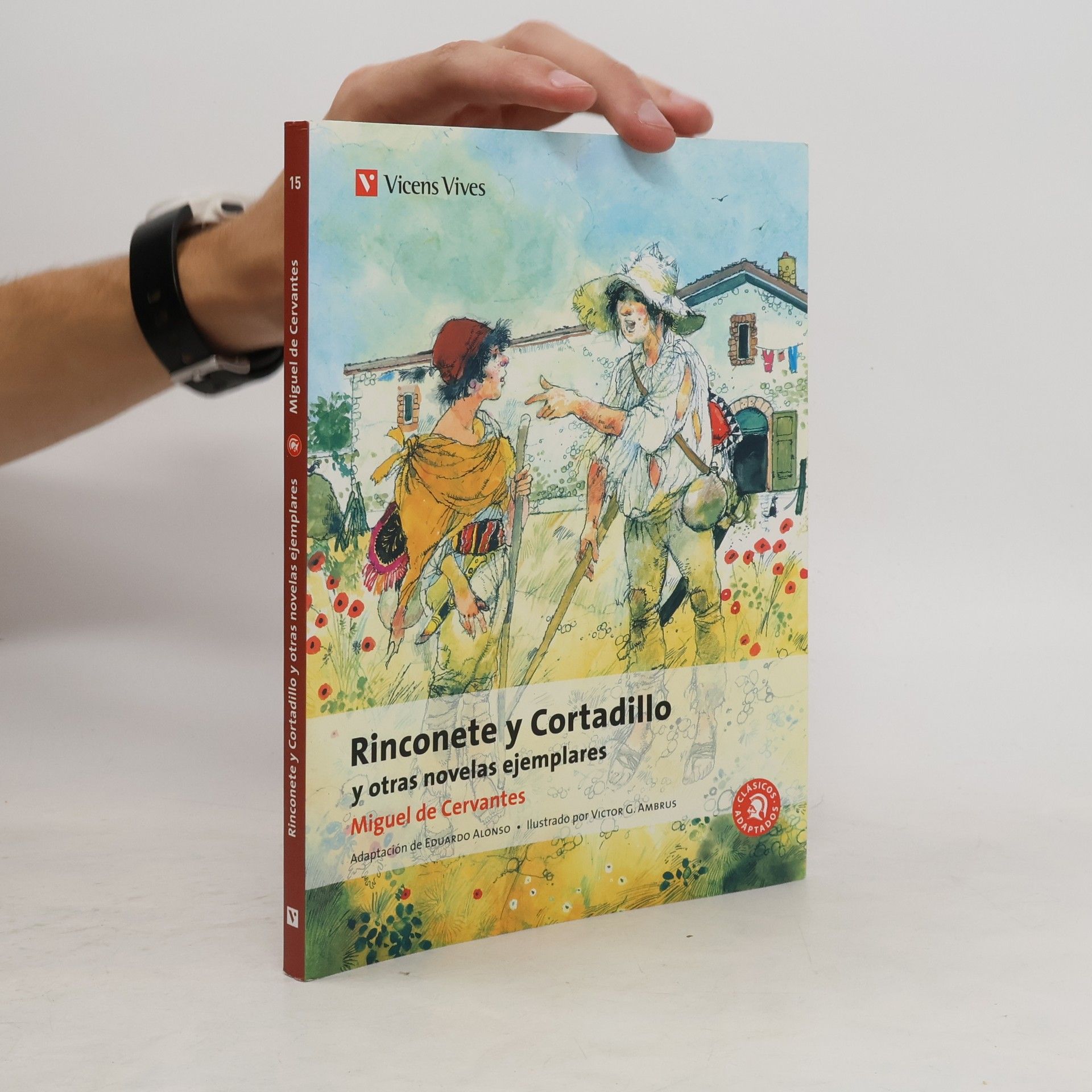 Various authors Rinconete Y Cortadillo Y Otras Novelas Ejemplares