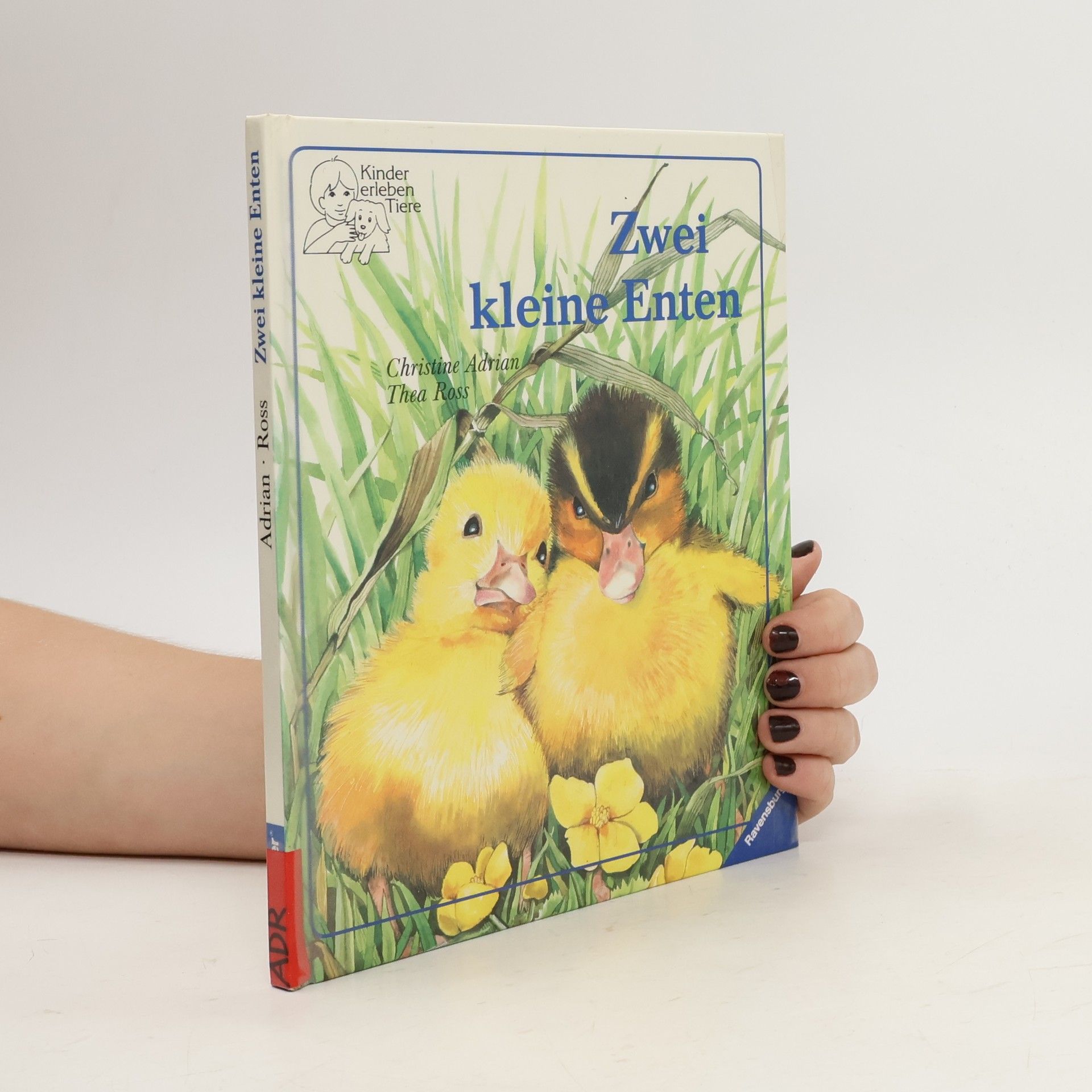 Christine Adrian Zwei kleine Enten