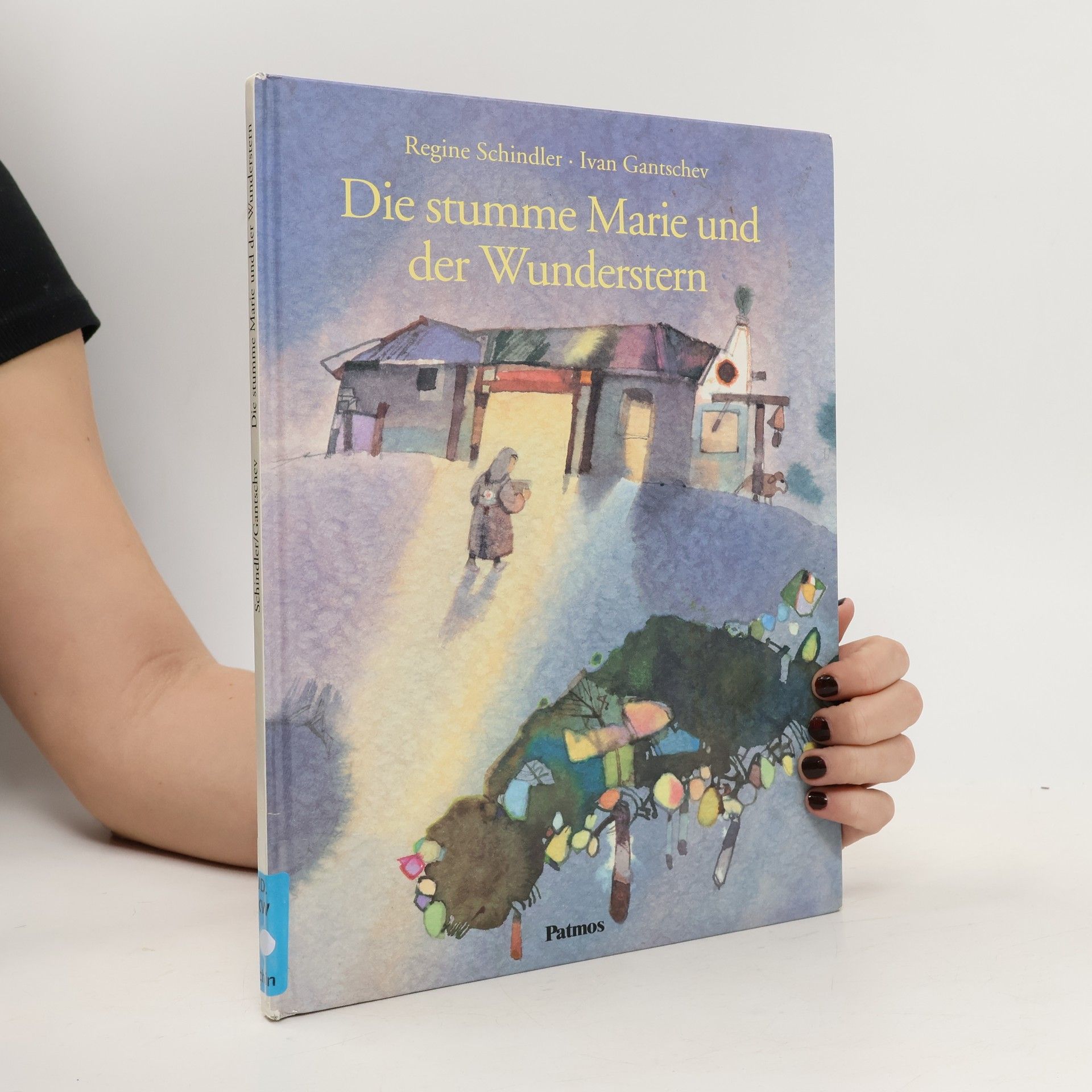 Regine Schindler Die stumme Marie und der Wunderstern