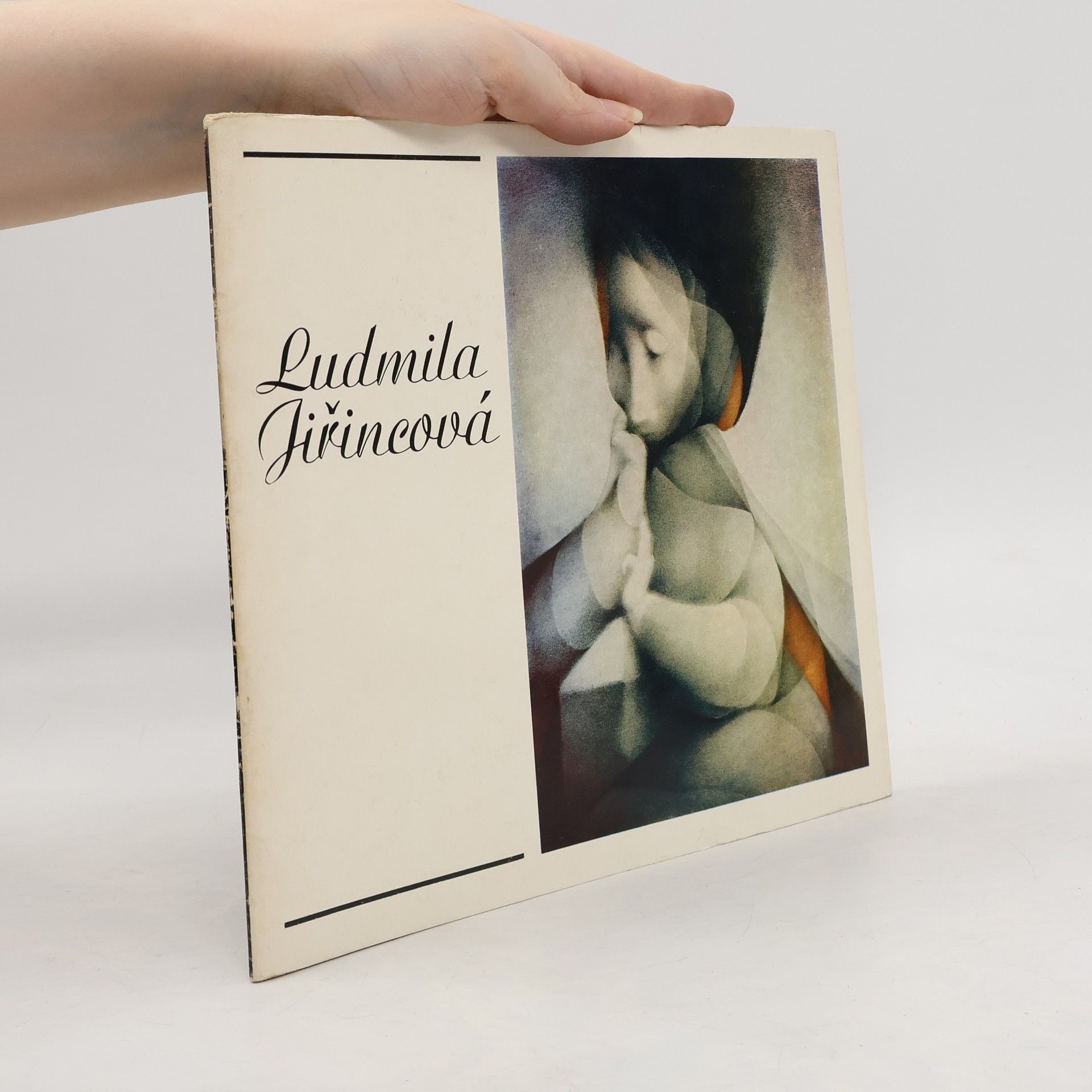 Kolektiv autorů Ludmila Jiřincová