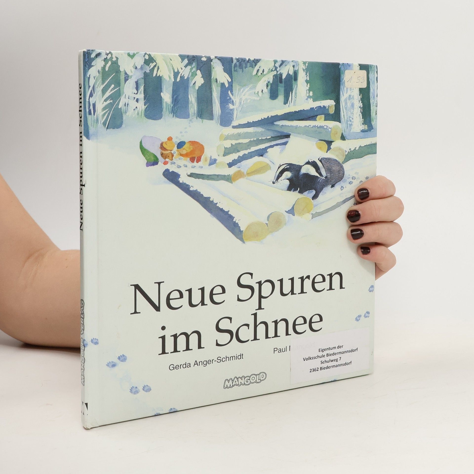 Gerda Anger-Schmidt Neue Spuren im Schnee