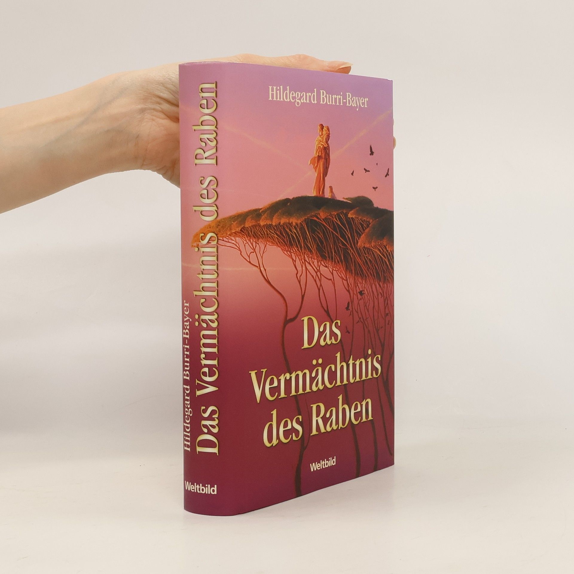 Das Vermächtnis des Raben