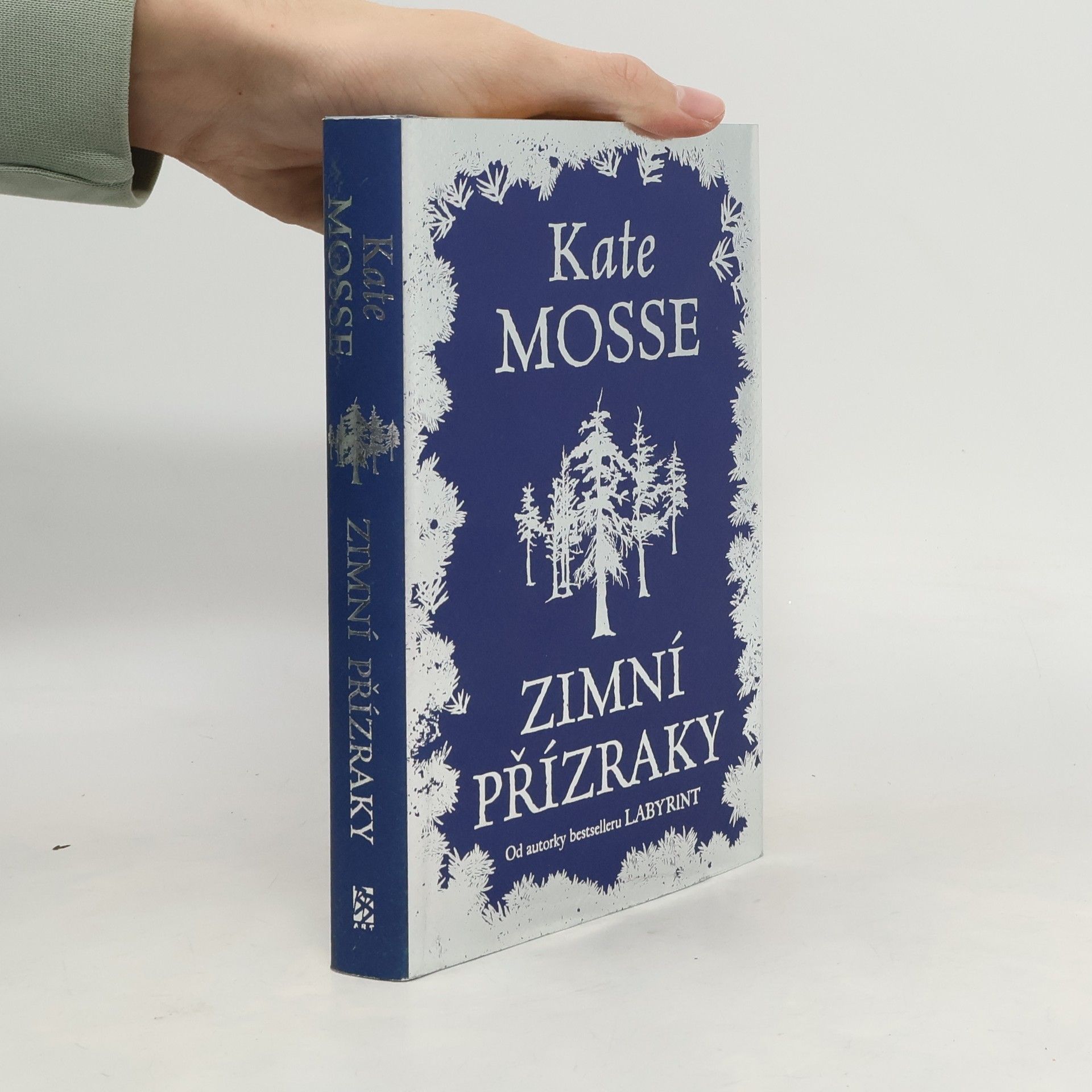 Kate Mosse Zimní přízraky