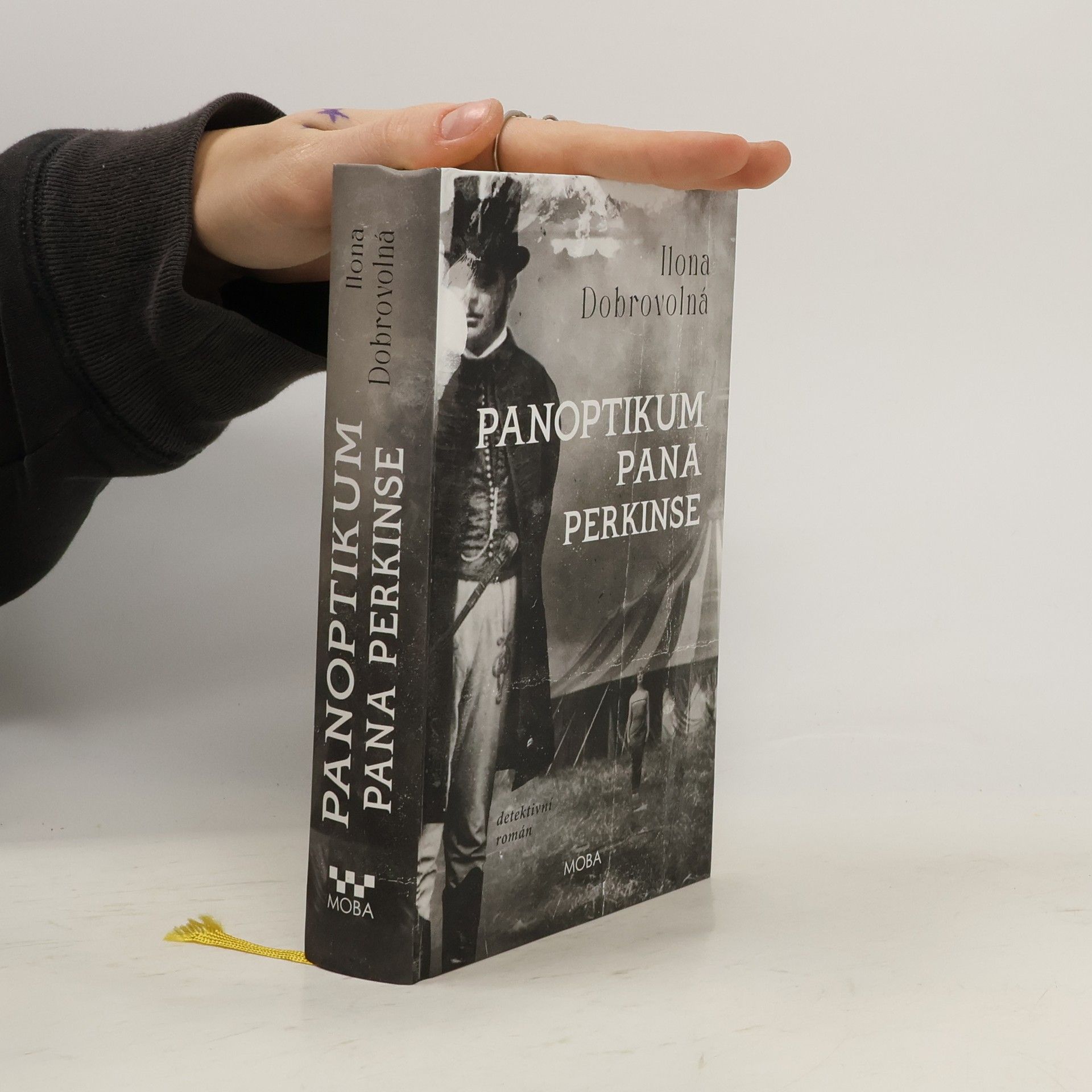 Ilona Dobrovolná Panoptikum pana Perkinse