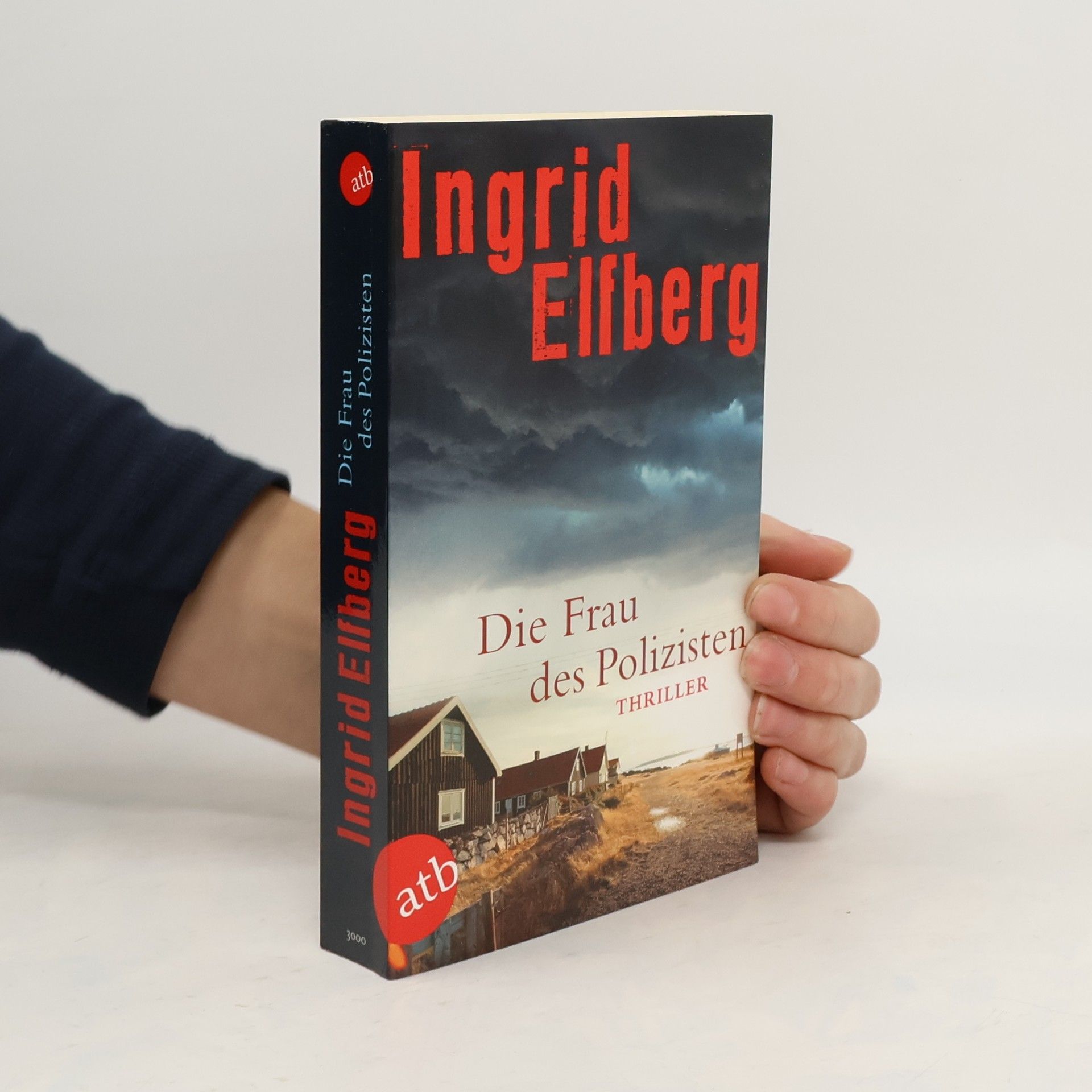 Ingrid Elfberg Die Frau des Polizisten