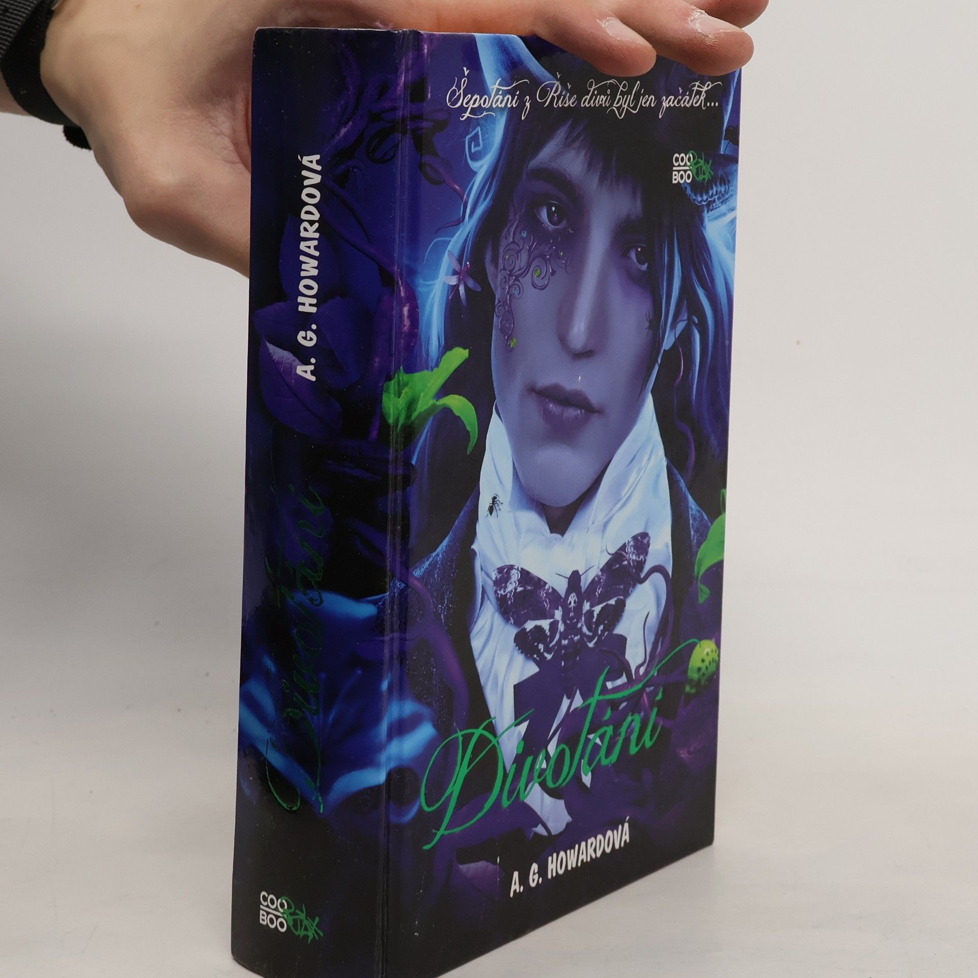 A. G. Howard Divotání. 2. díl