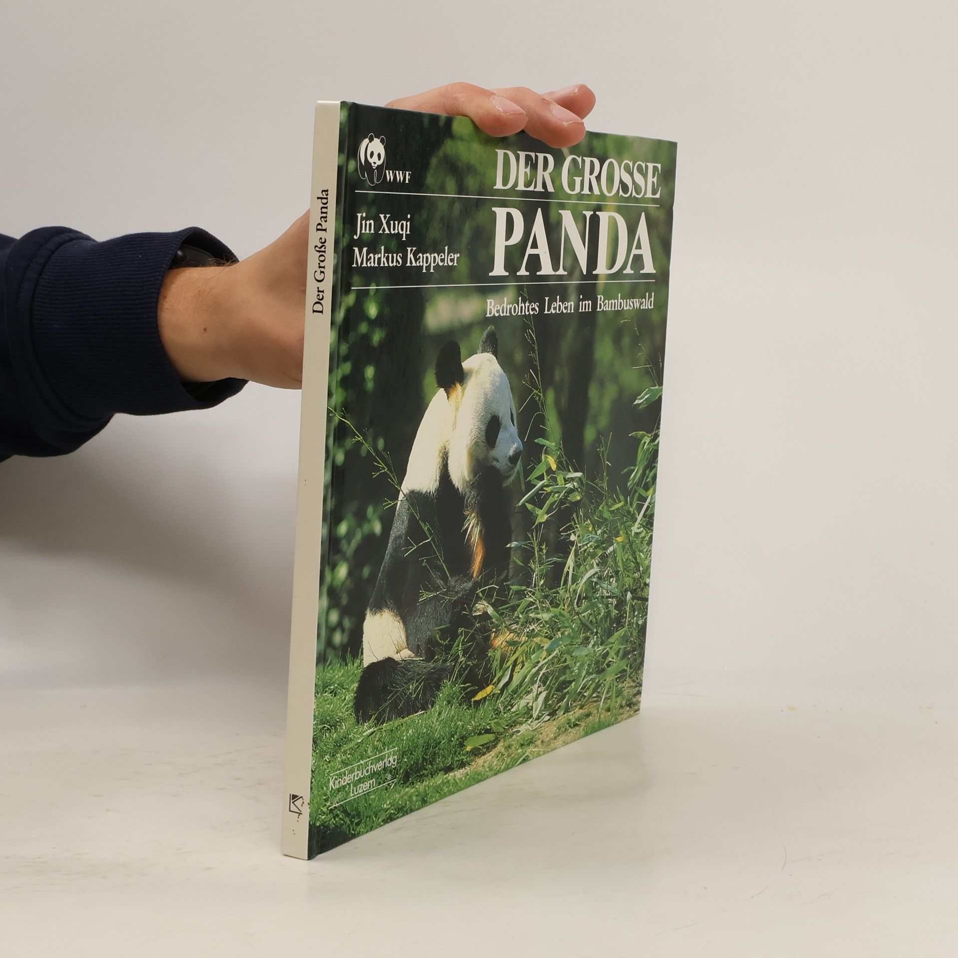 Jin Xuqi Der Grosse Panda