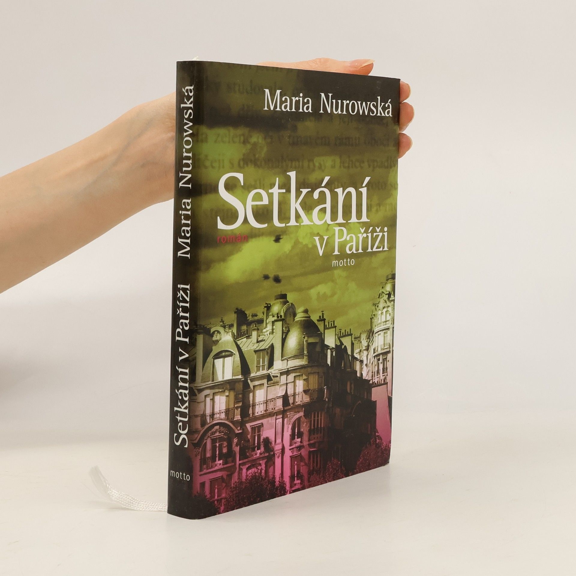 Maria Nurowska Setkání v Paříži