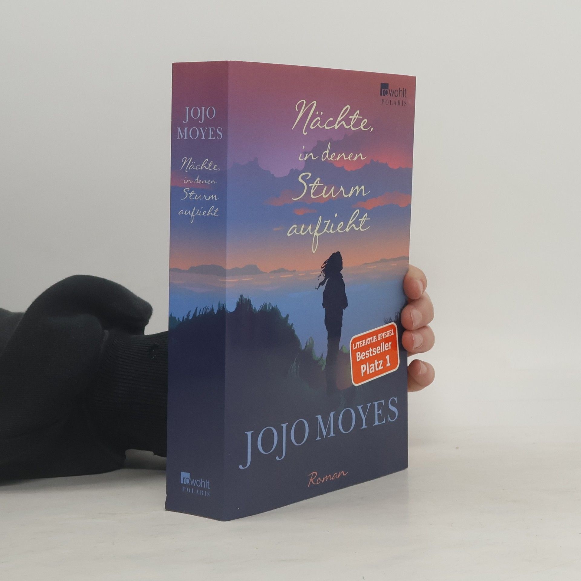 Jojo Moyesová Nächte in denen Sturm aufzieht