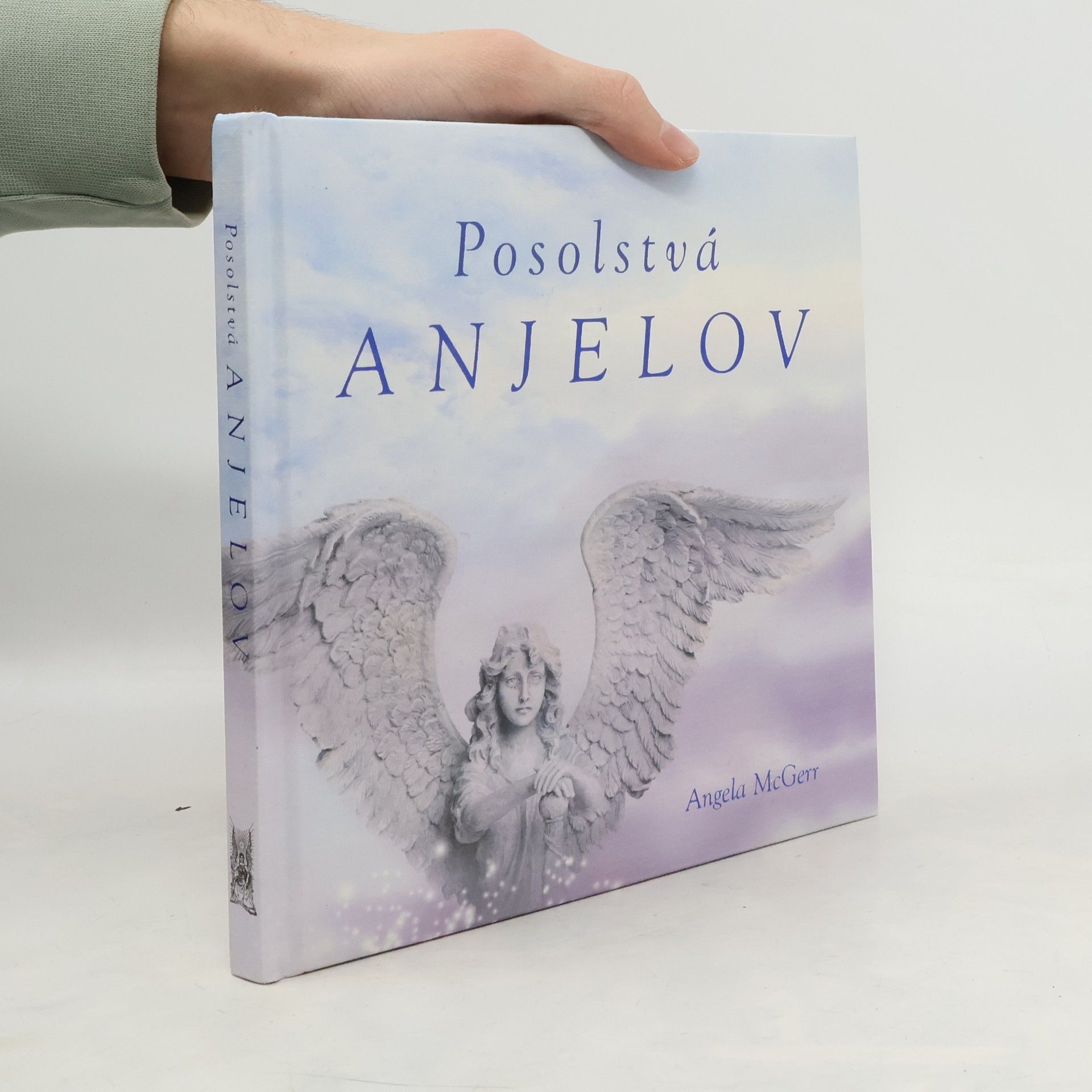Ange McGerr Posolstvá anjelov