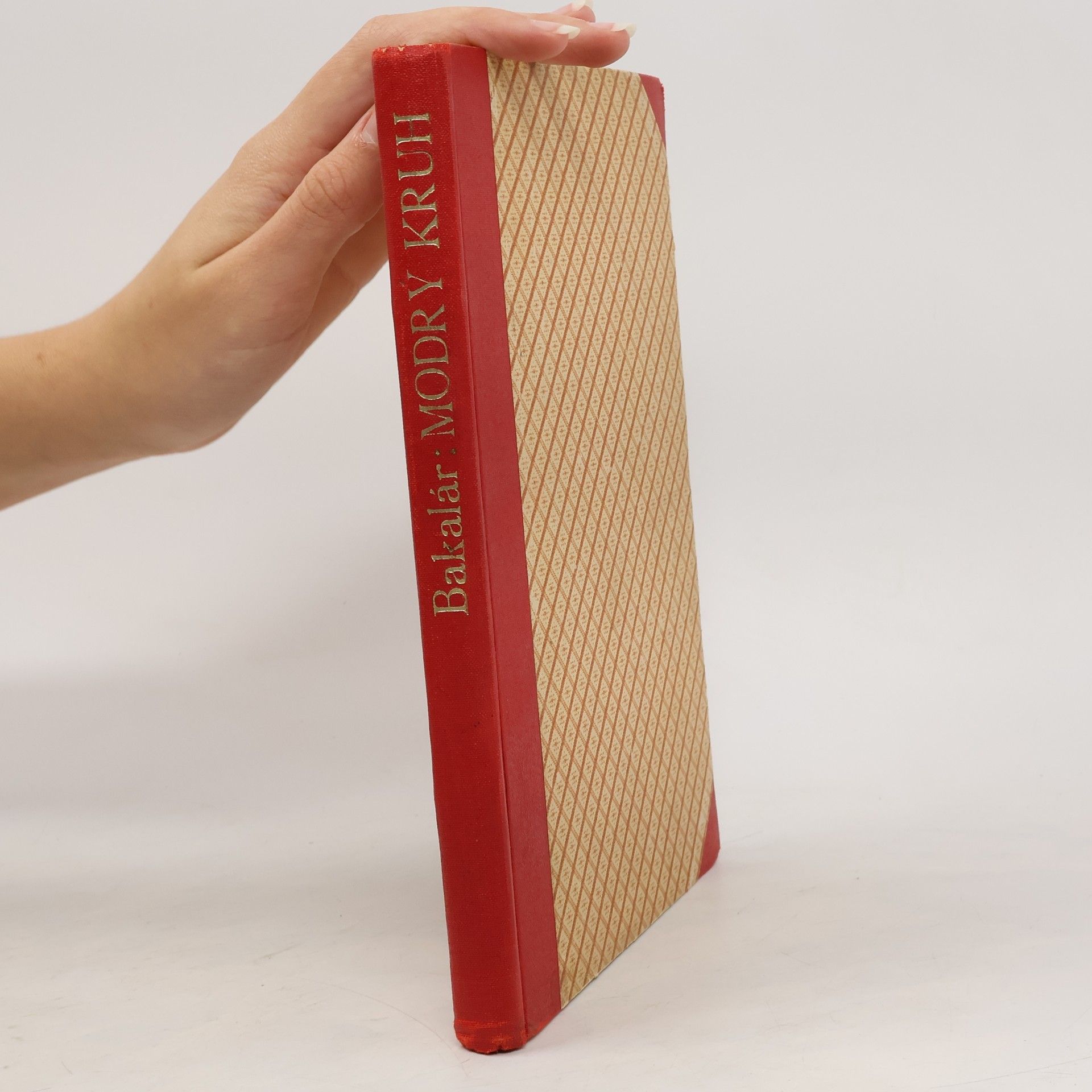 Robert Bakalář Modrý kruh