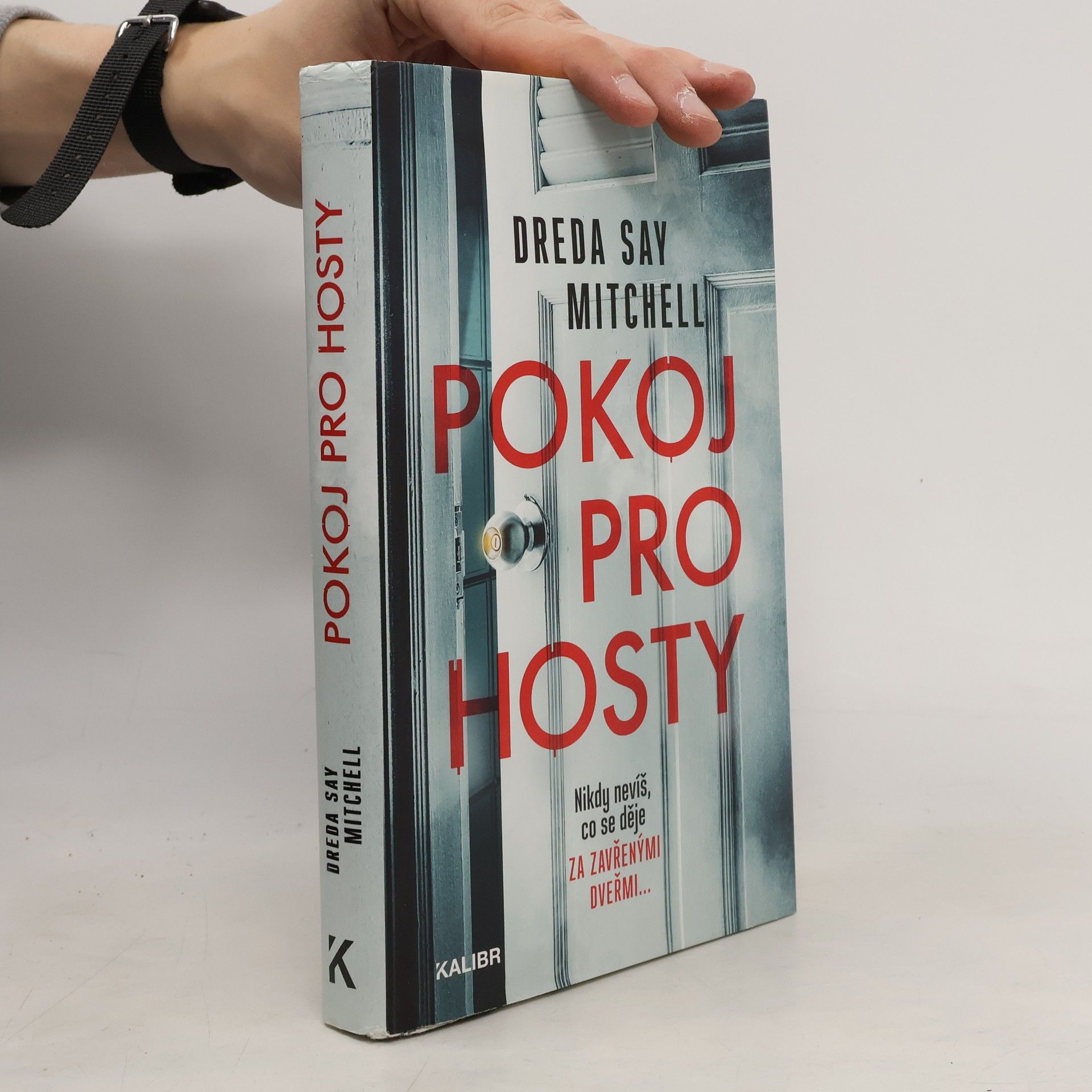 Dreda Say Mitchell Pokoj pro hosty