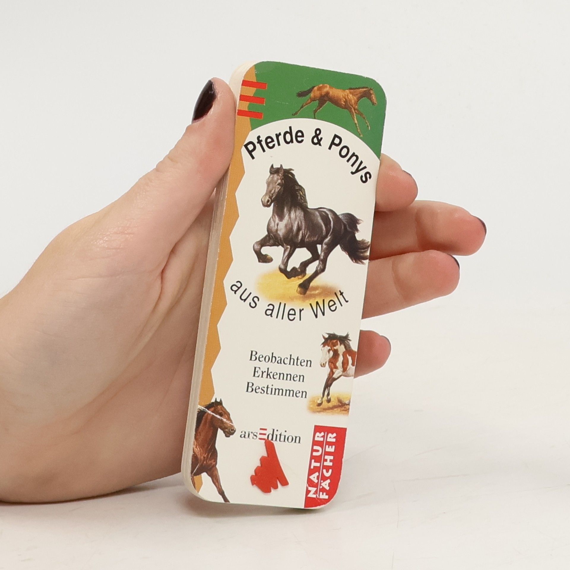 Autorenkollektiv Pferde und Ponys aus aller Welt