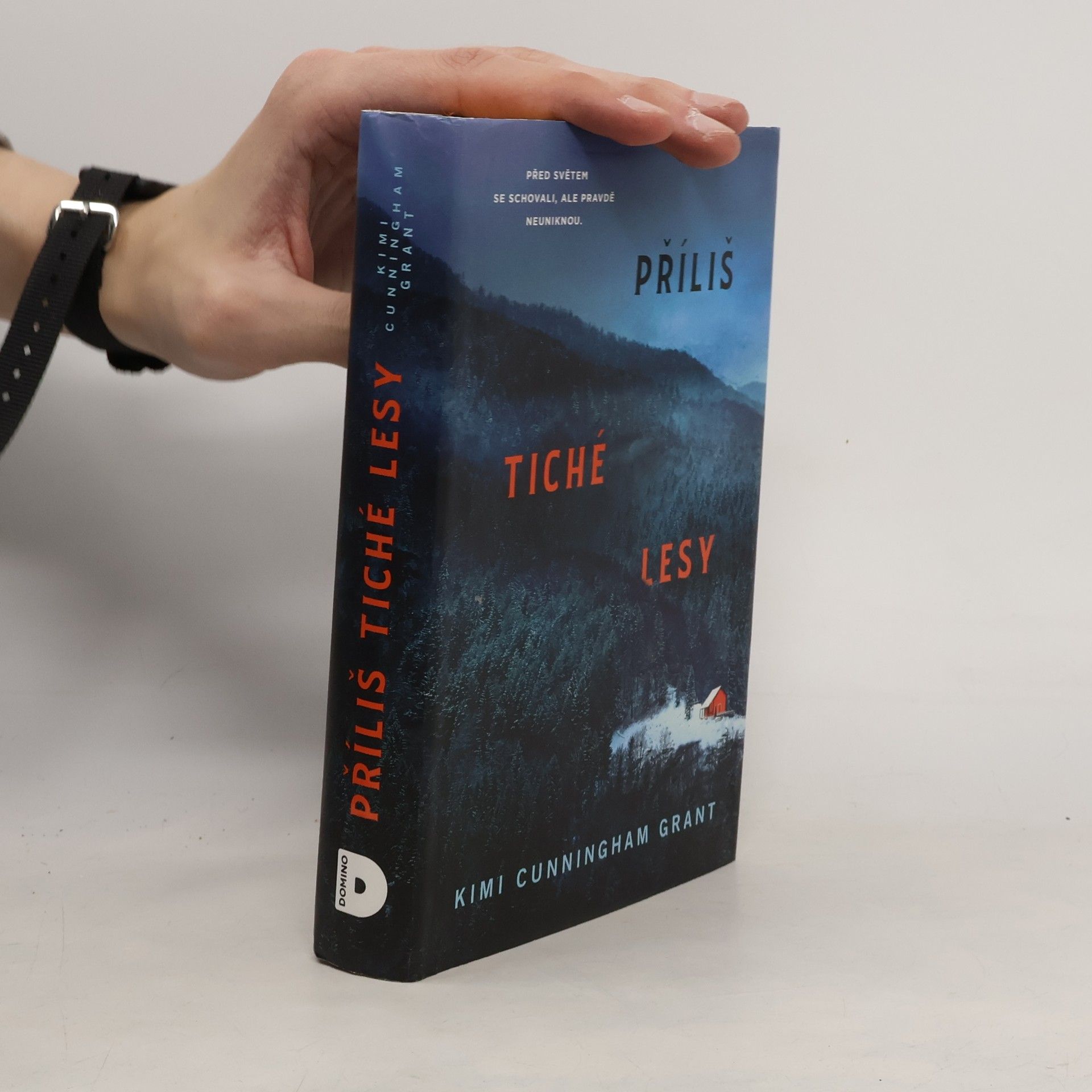 Kimi Cunningham Grant Příliš tiché lesy