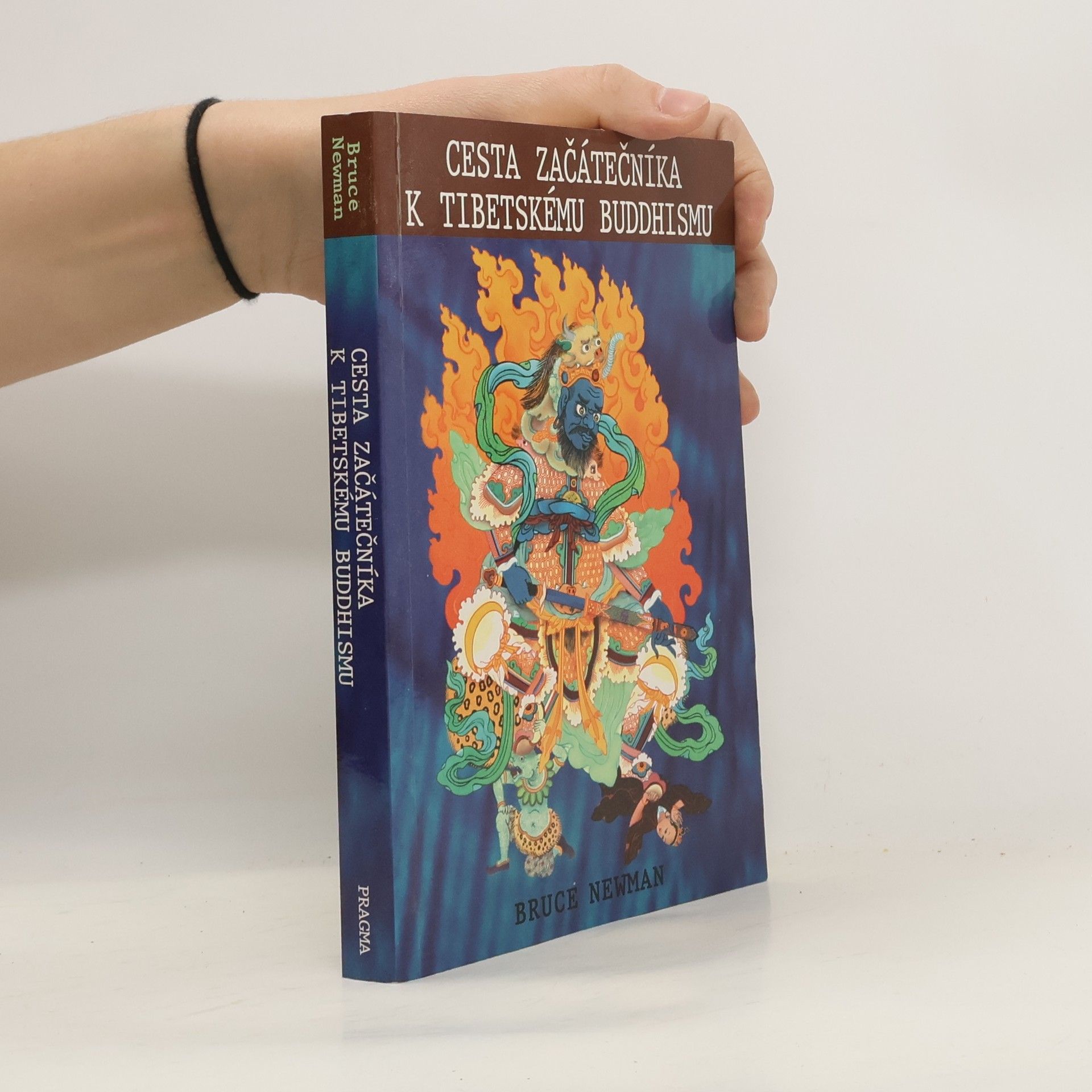Josef Pecinovský Cesta začátečníka k tibetskému buddhismu. Zápisky z duchovní cesty