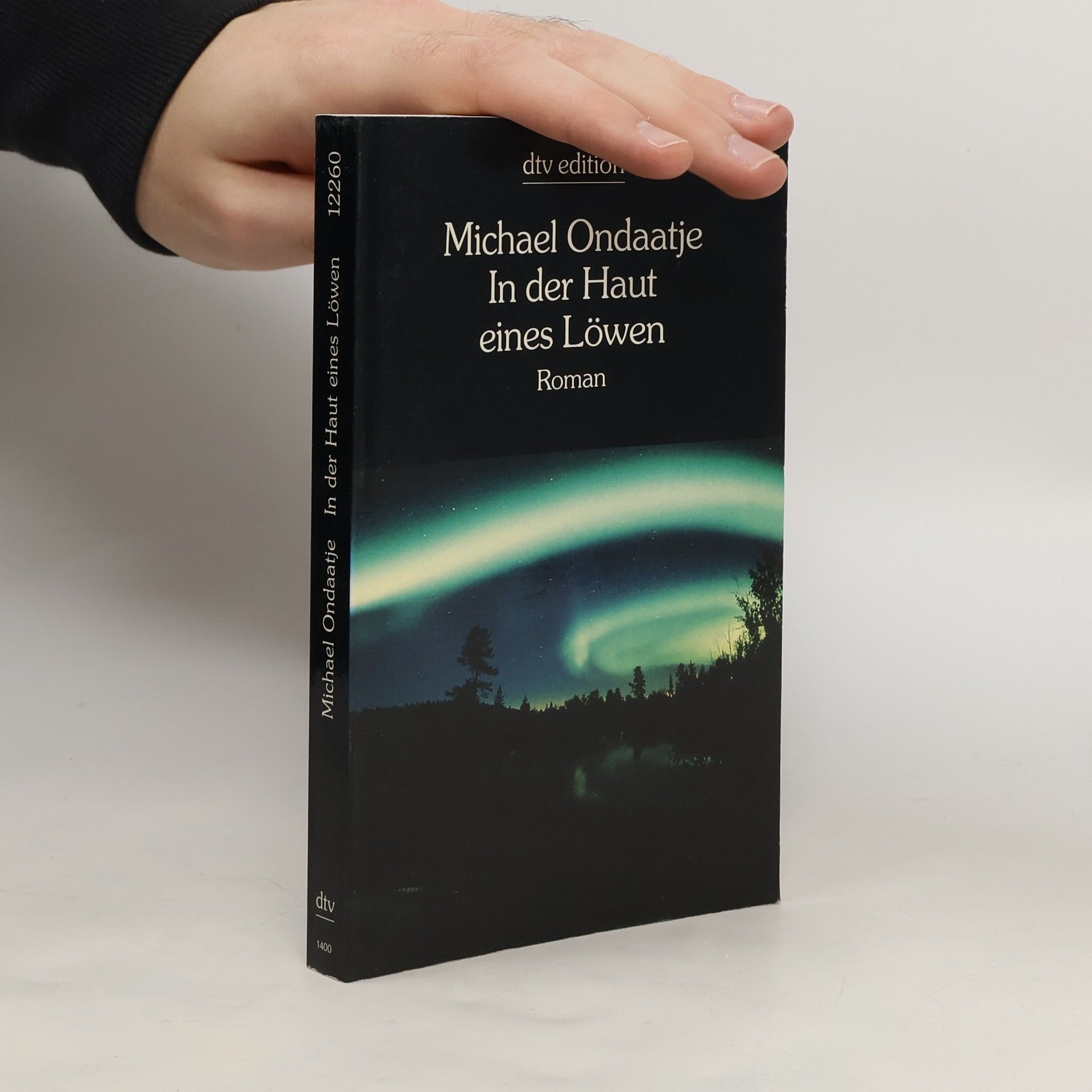Michael Ondaatje In der Haut eines Löwen