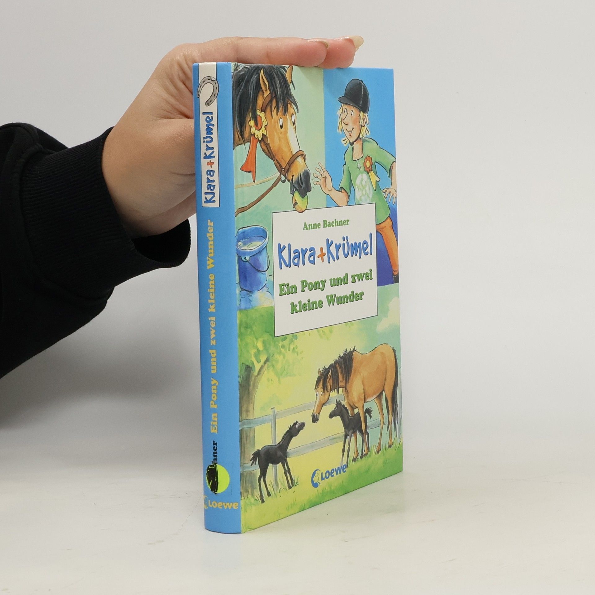 Anne Bachner Klára a Drobeček. Poník a dvojčata