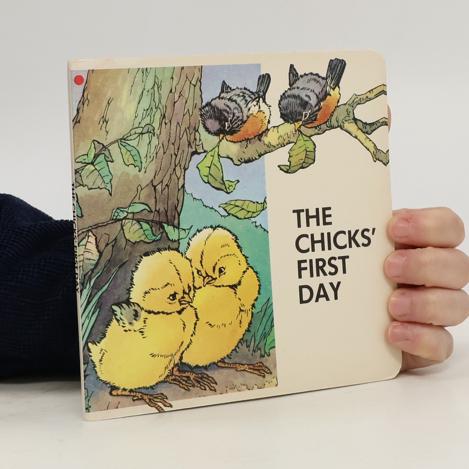 Collectif d'auteurs The chick's first day