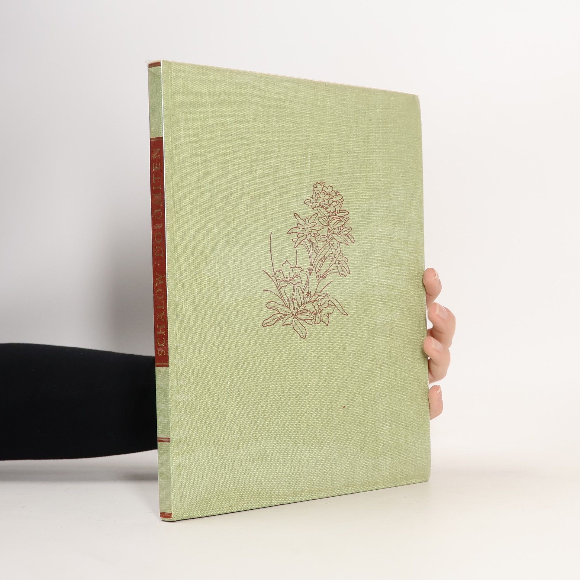 Ernst Schälow Es blüht in den Dolomiten