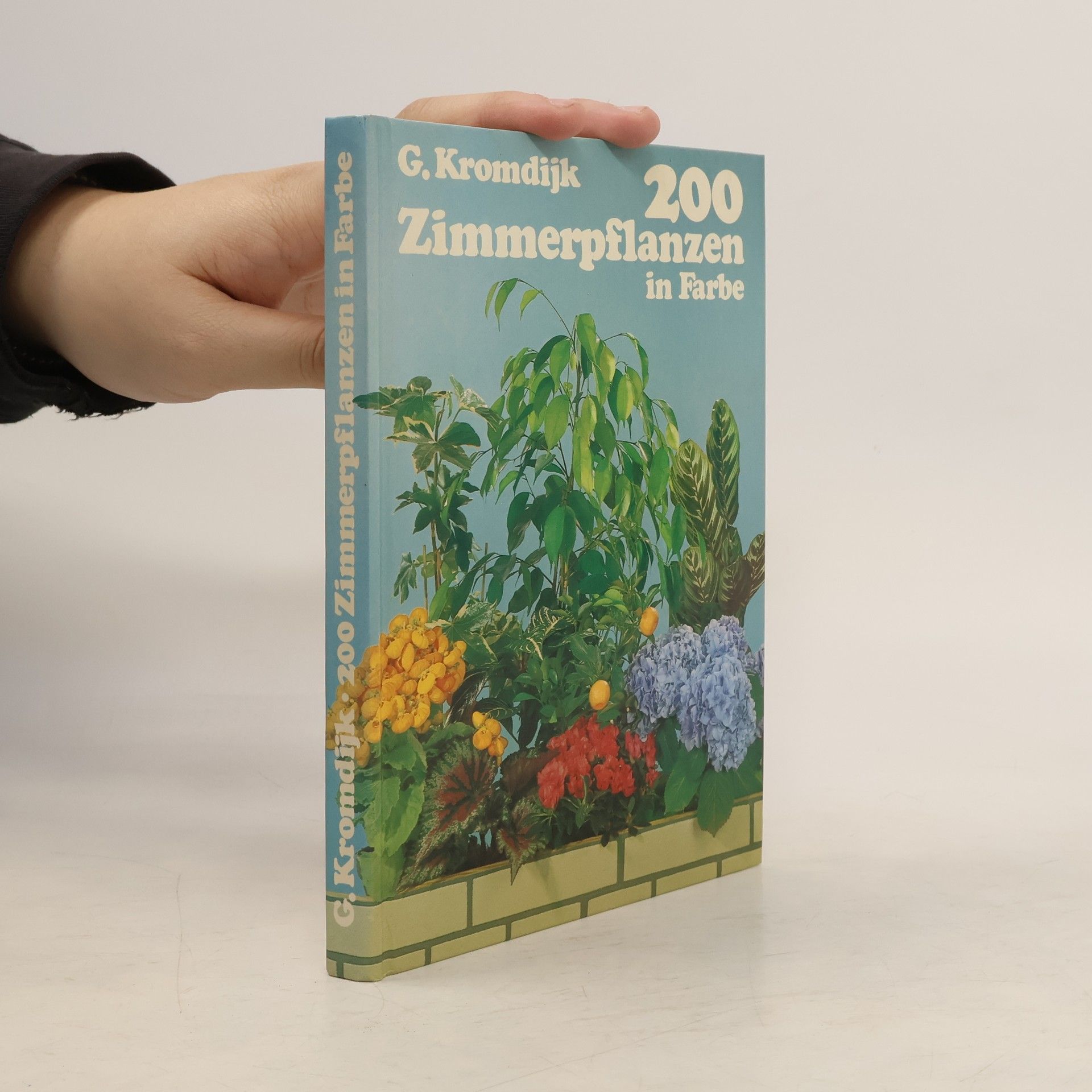 G. Kromdijk 200 Zimmerpflanzen in Farbe