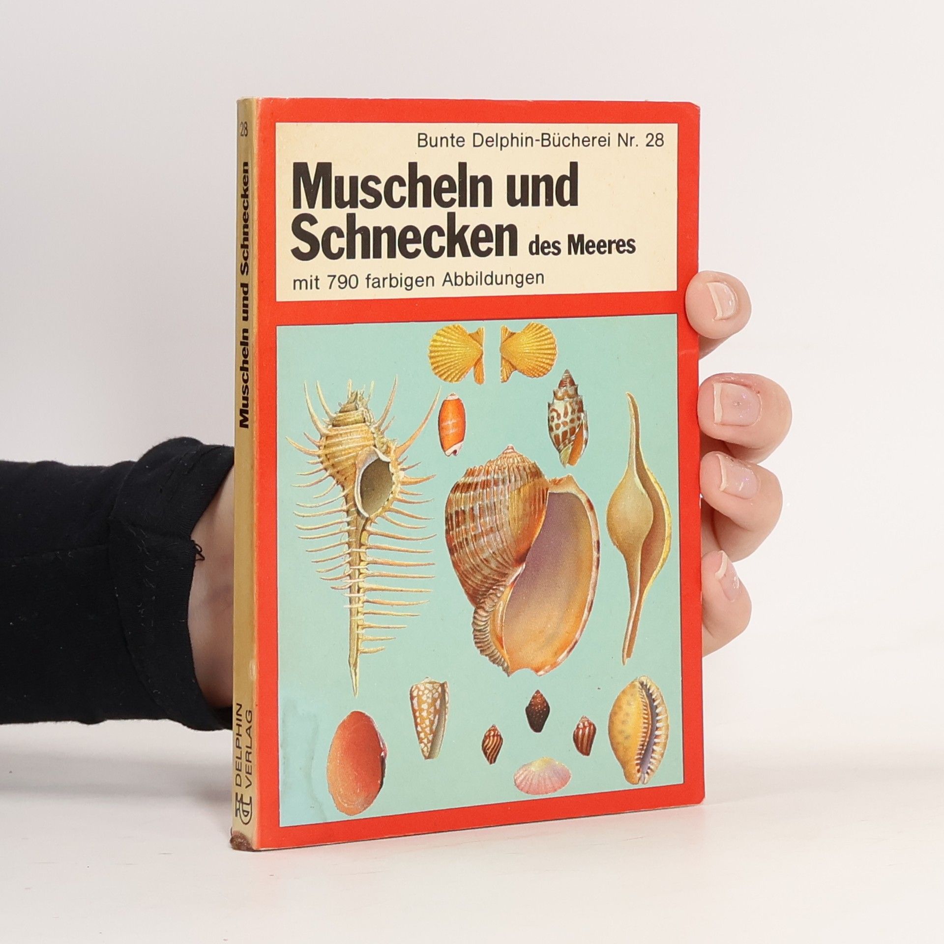 Muscheln und Schnecken des Meeres