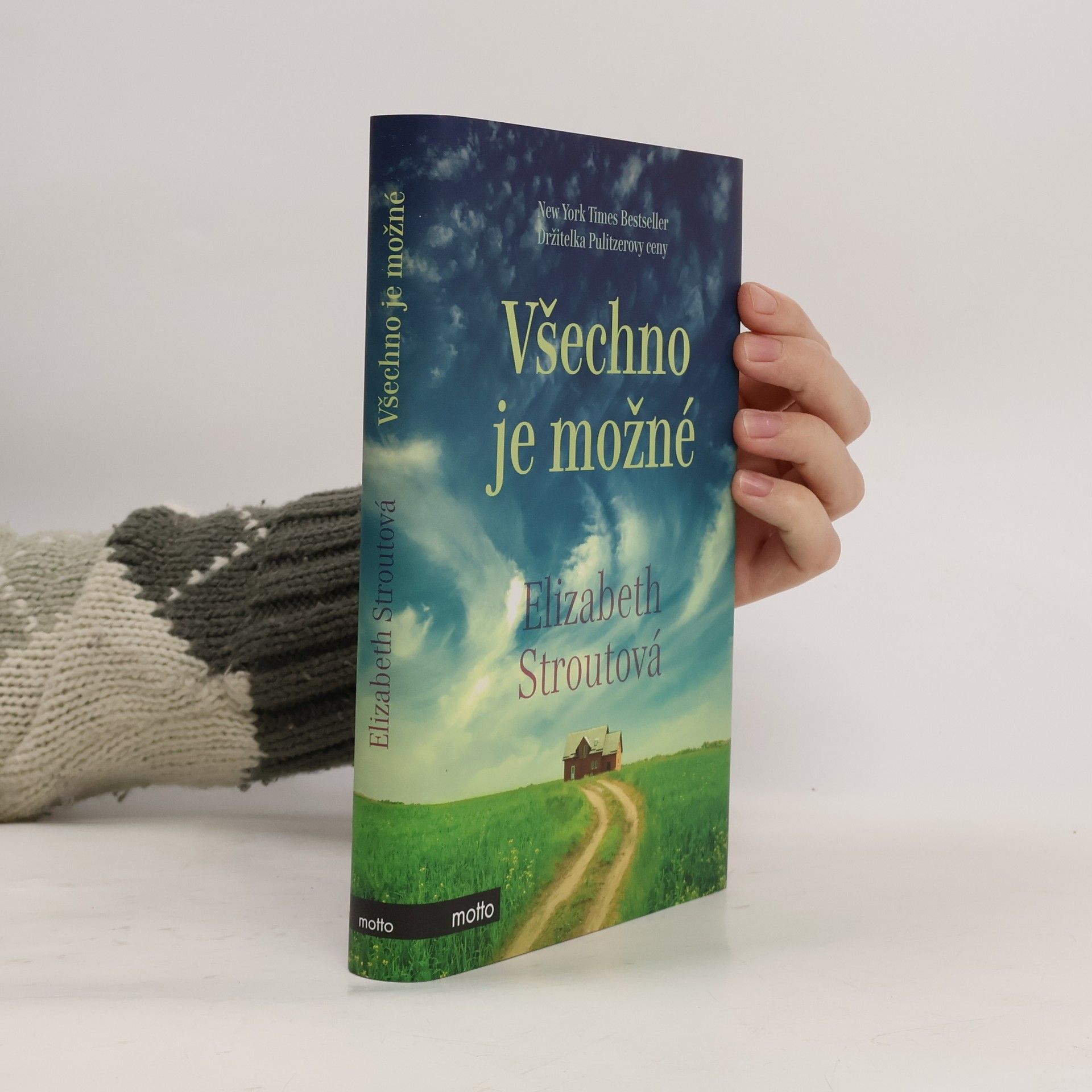 Elizabeth Strout Všechno je možné