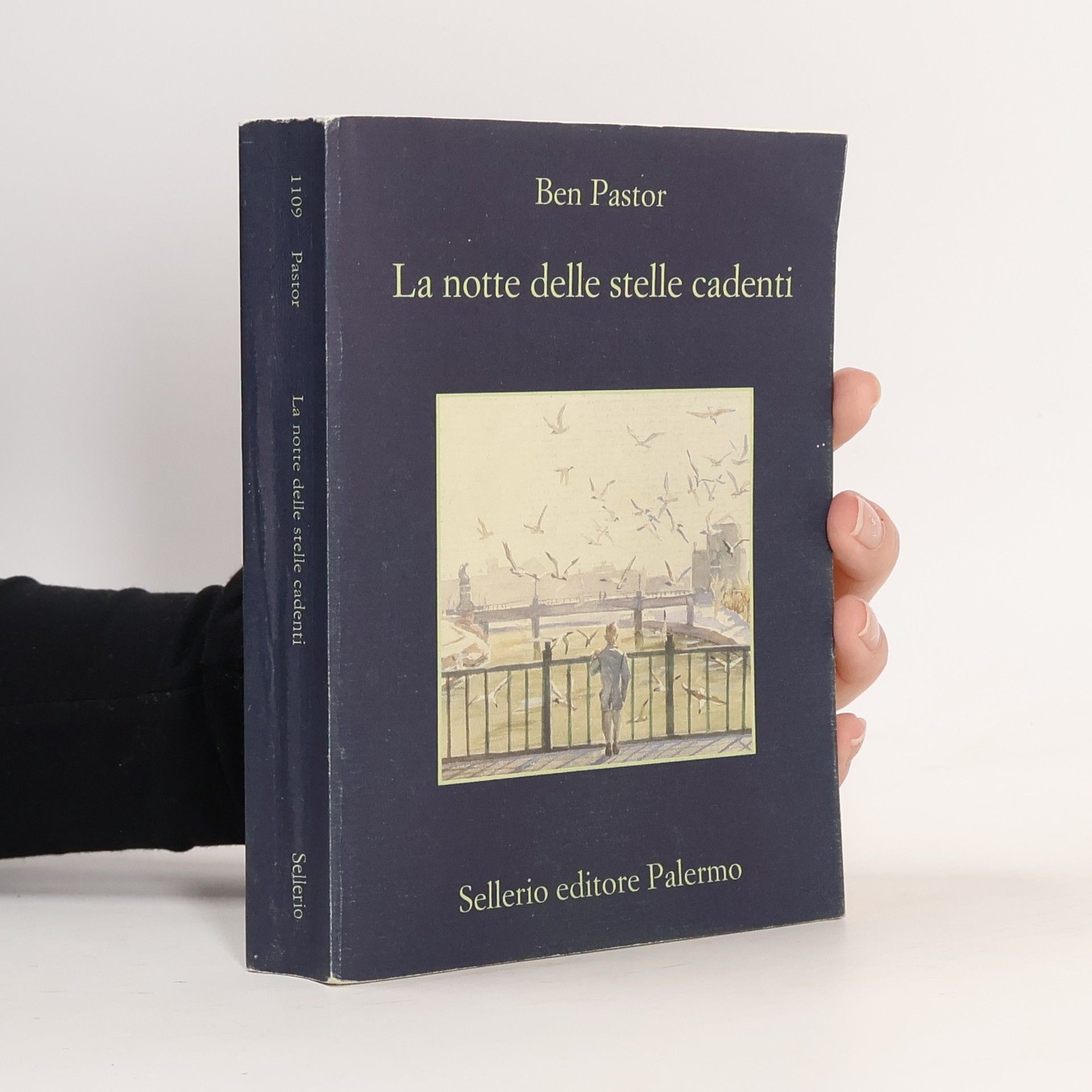 Luigi Sanvito La notte delle stelle cadenti