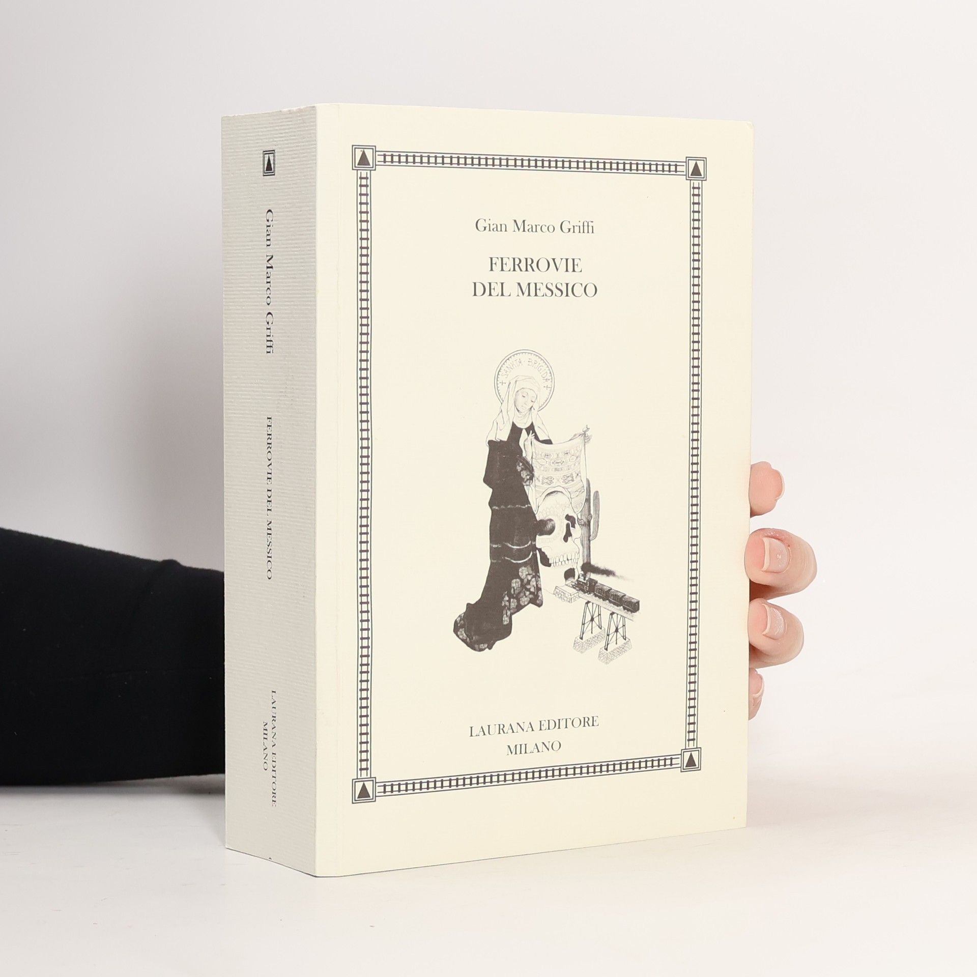 Ferrovie del Messico