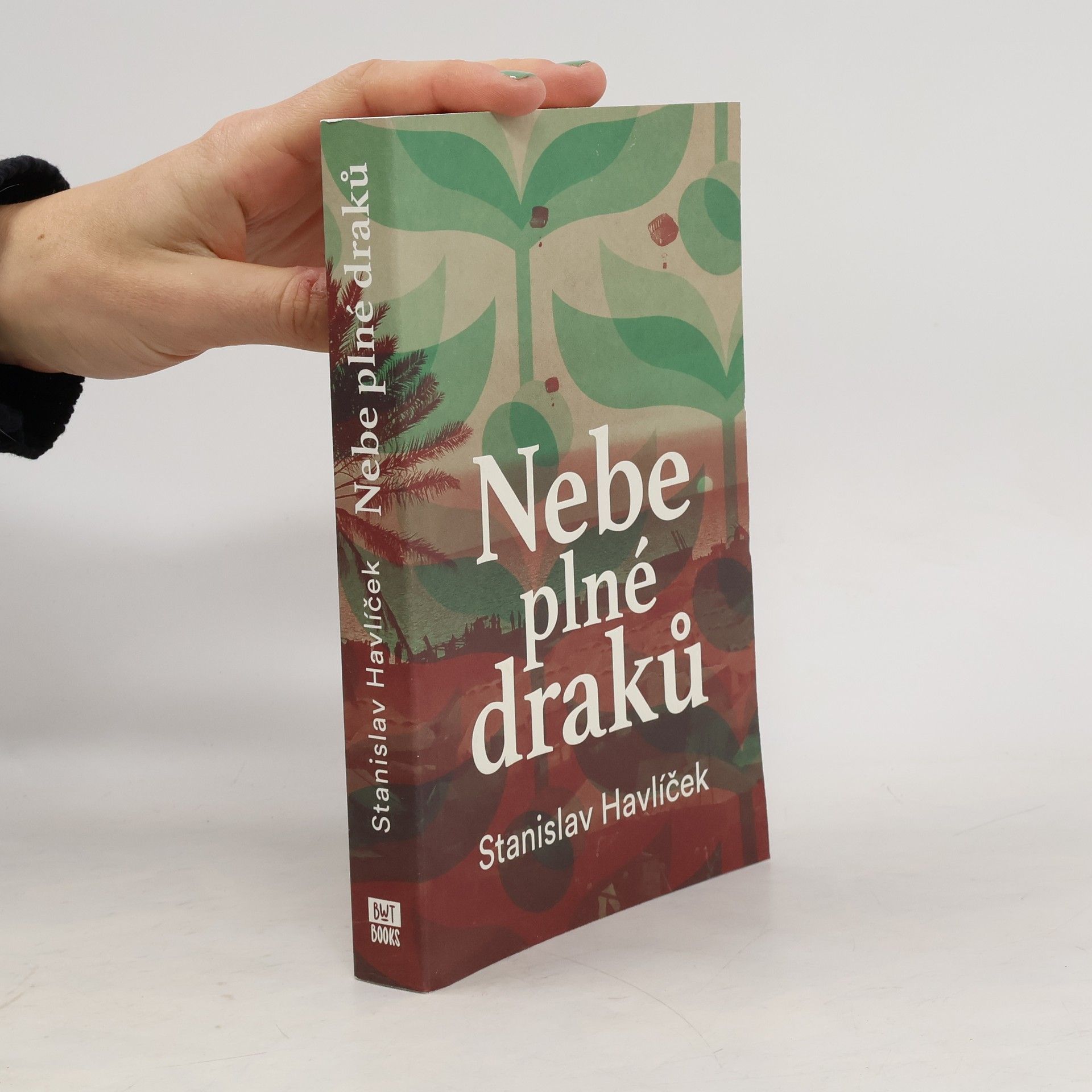 Stanislav Havlicek Nebe plné draků