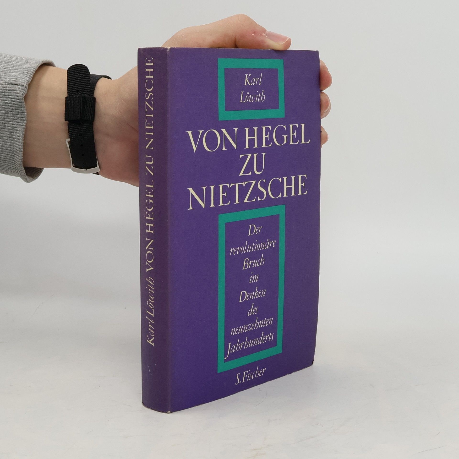 Karl Löwith Von Hegel zu Nietzsche