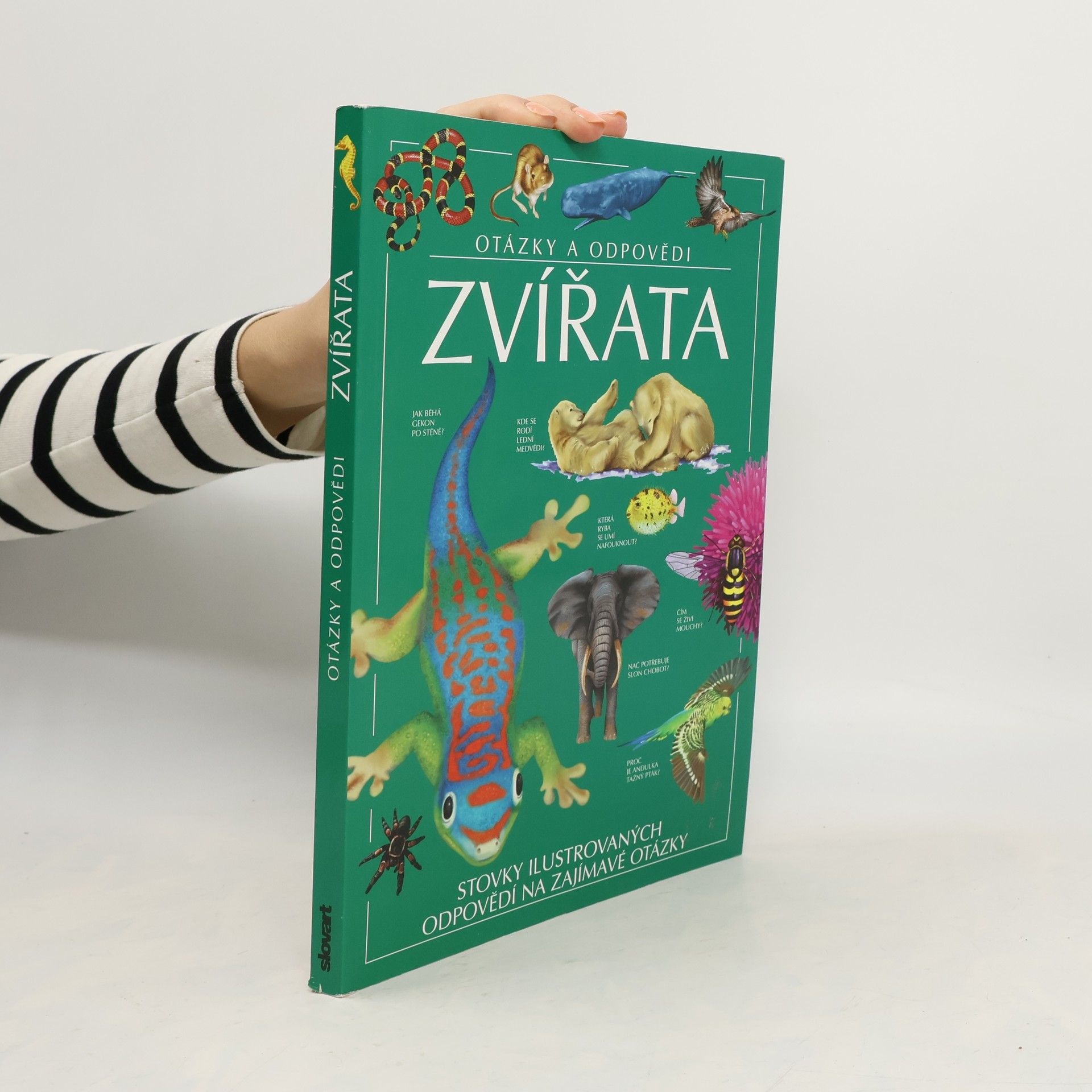 Jen Green Zvířata: Otázky a odpovědi